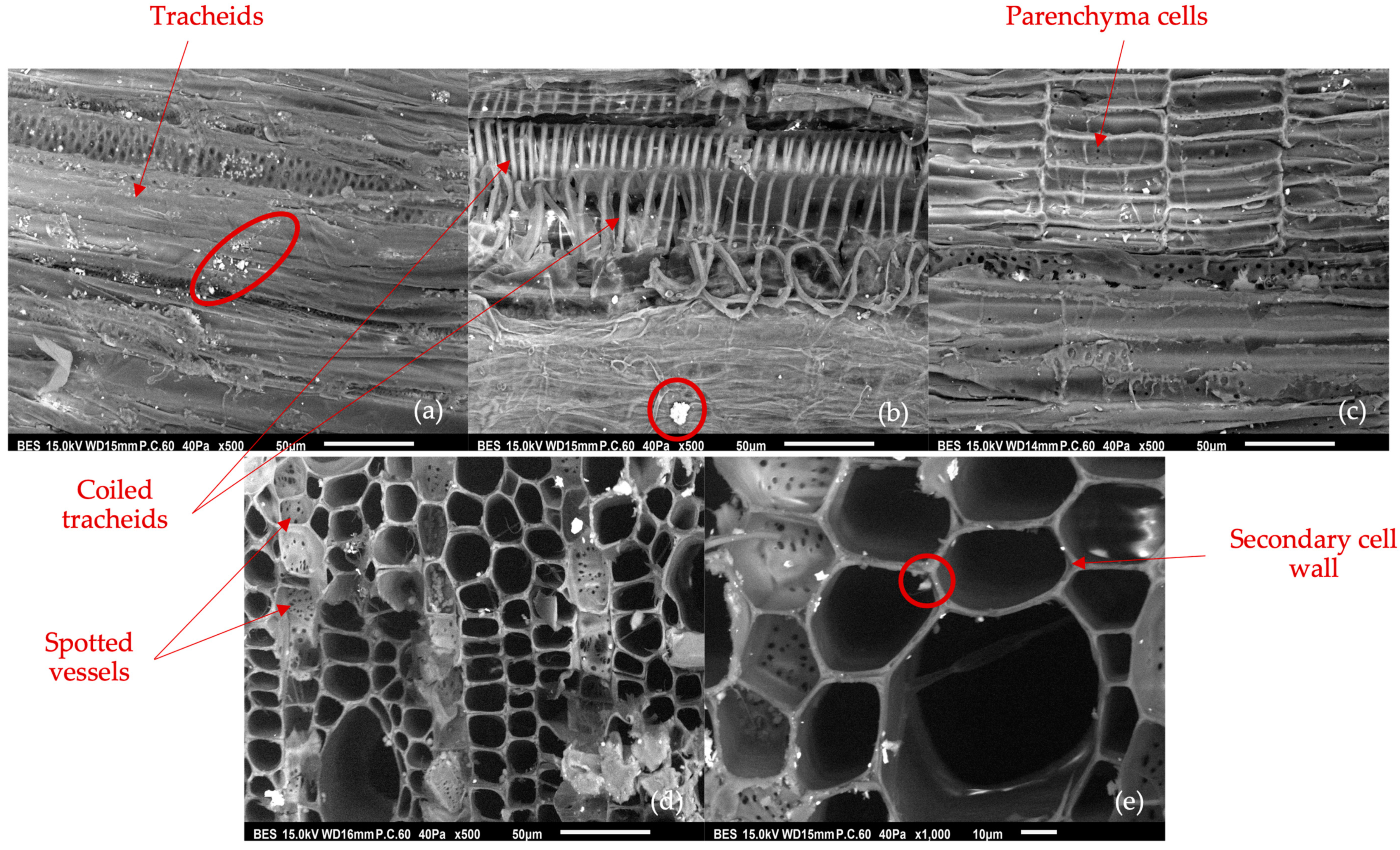 Applsci 14 08815 g004