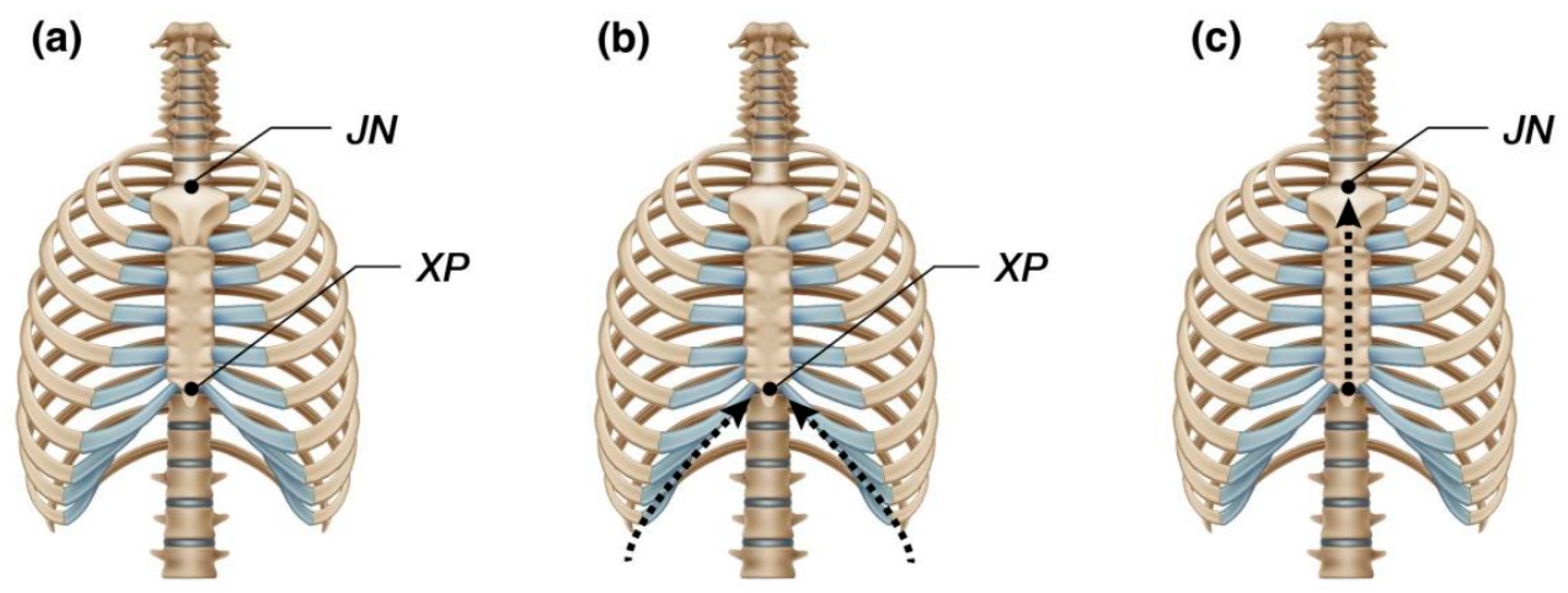 Applsci 14 08818 g002