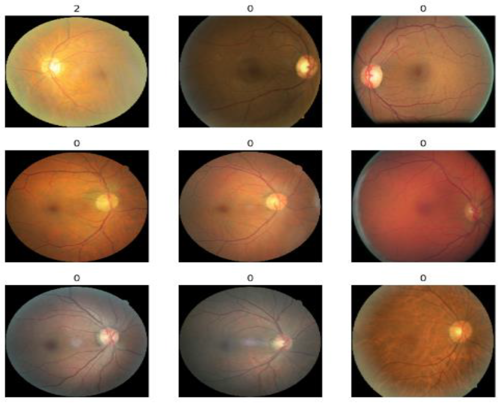 Applsci 14 08823 g003