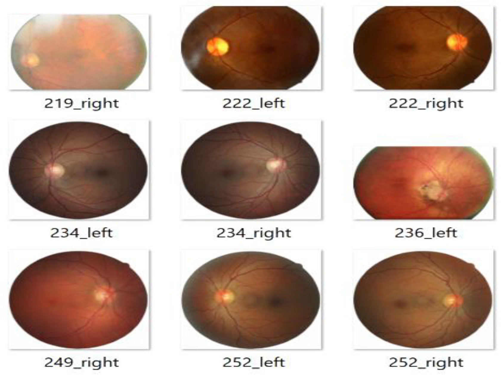 Applsci 14 08823 g006