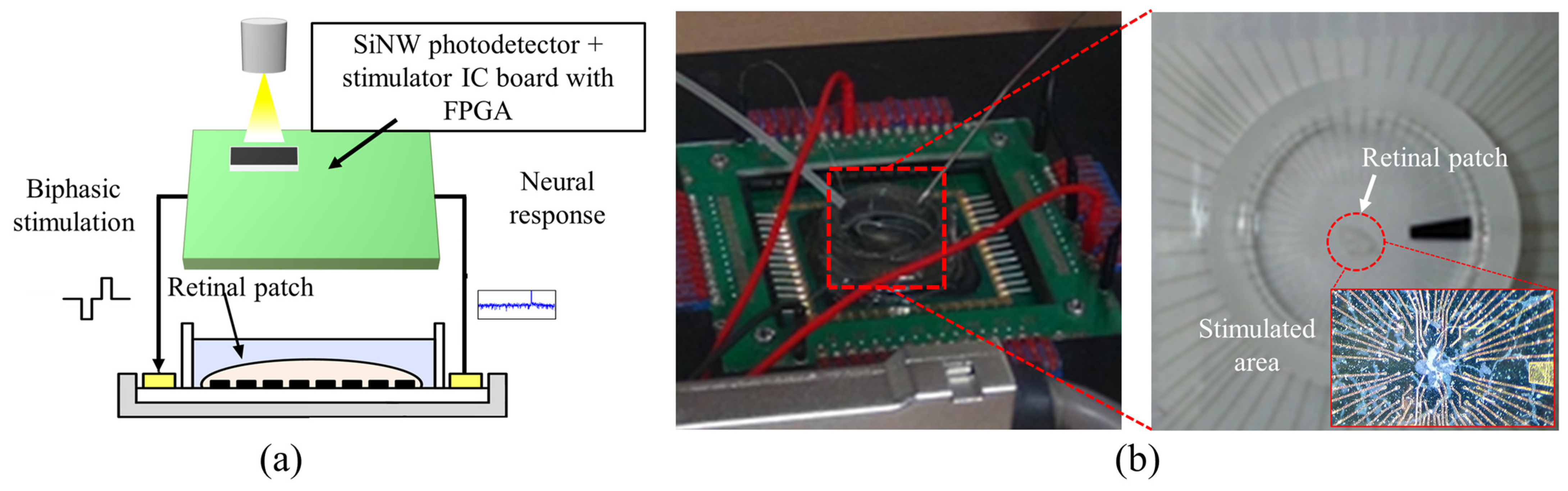 Applsci 14 08831 g014