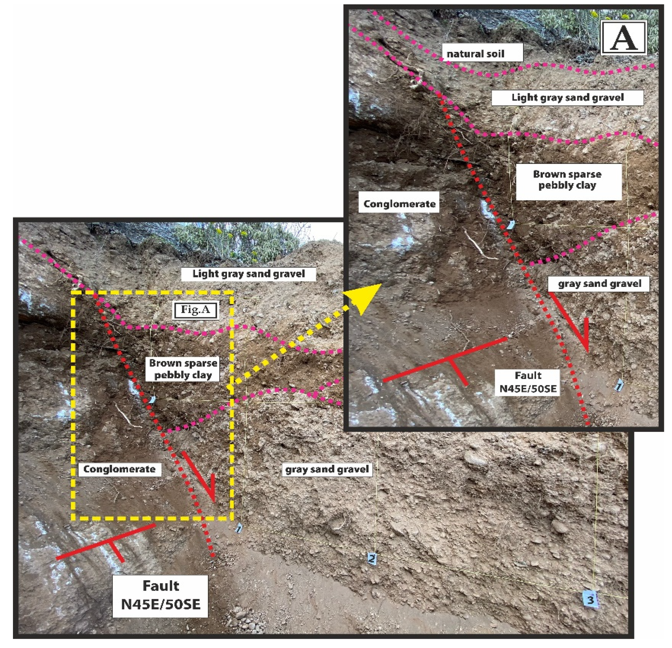 Applsci 14 08852 g020