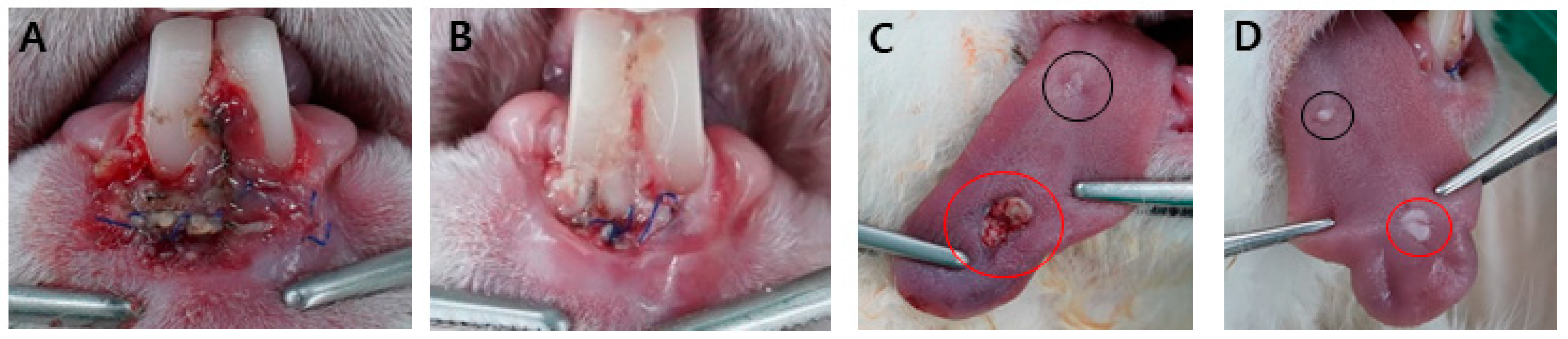 Applsci 14 08854 g006