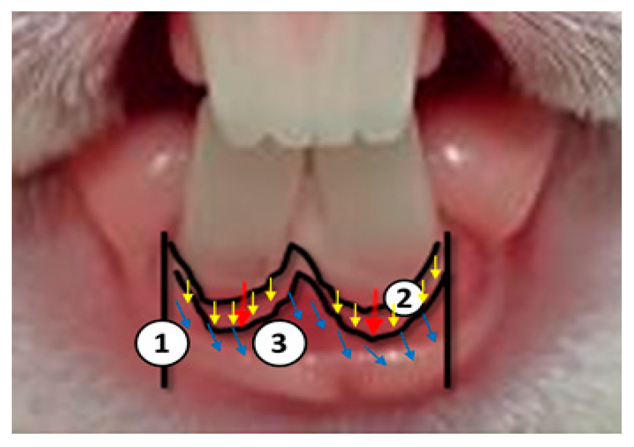 Applsci 14 08854 g007
