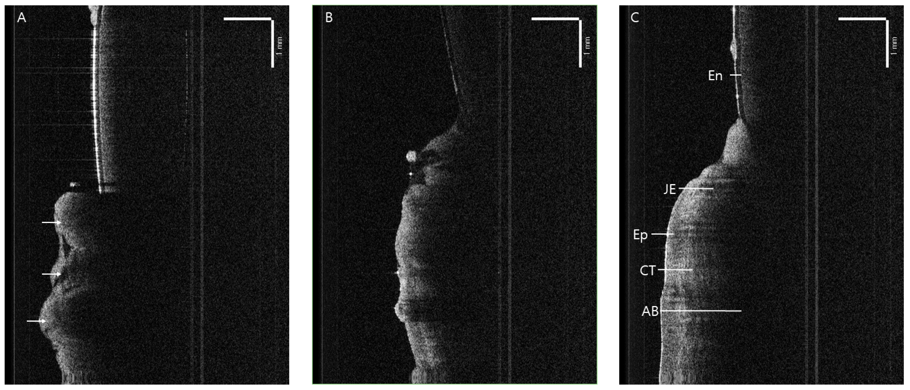 Applsci 14 08854 g008