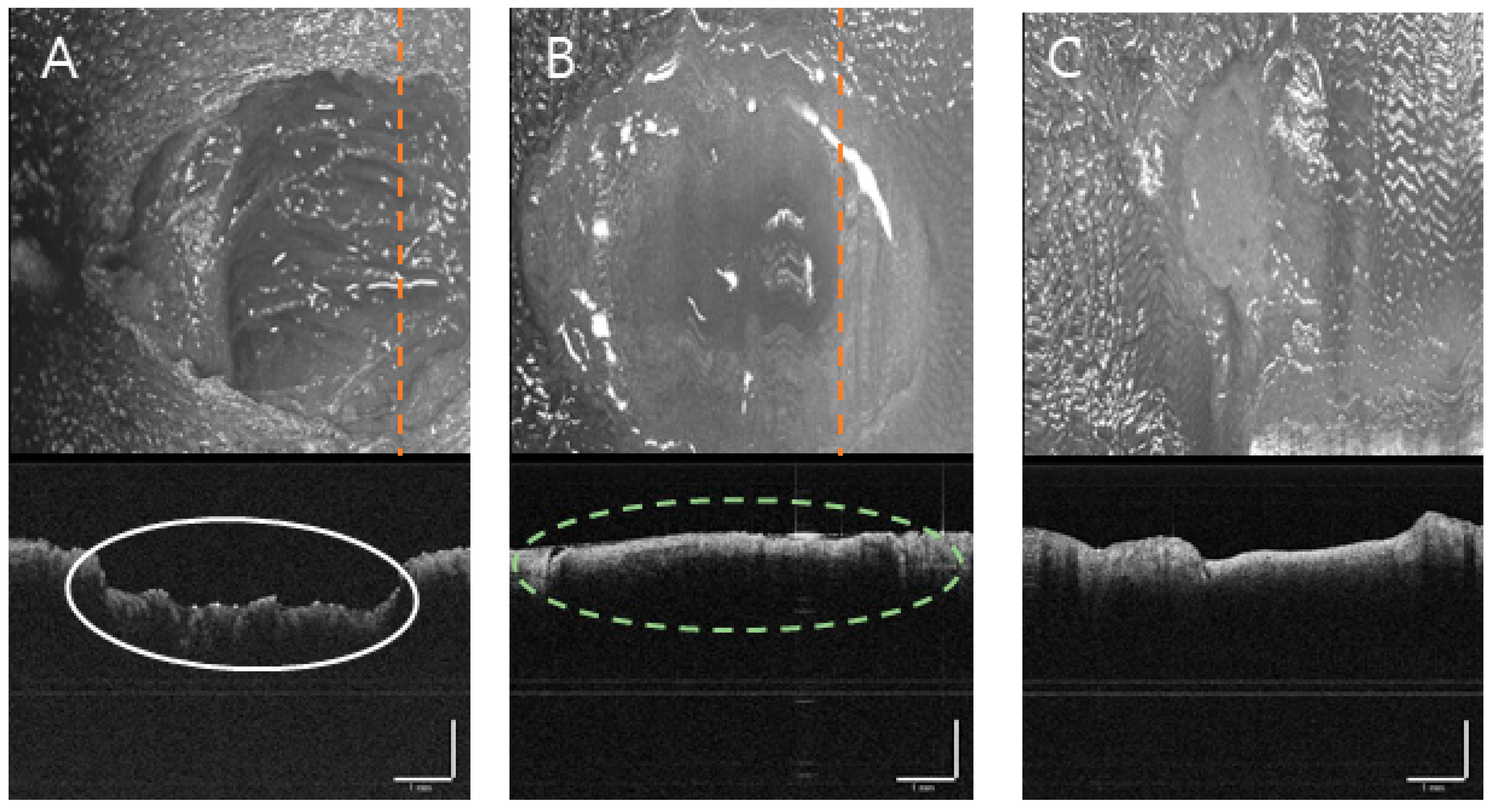 Applsci 14 08854 g010