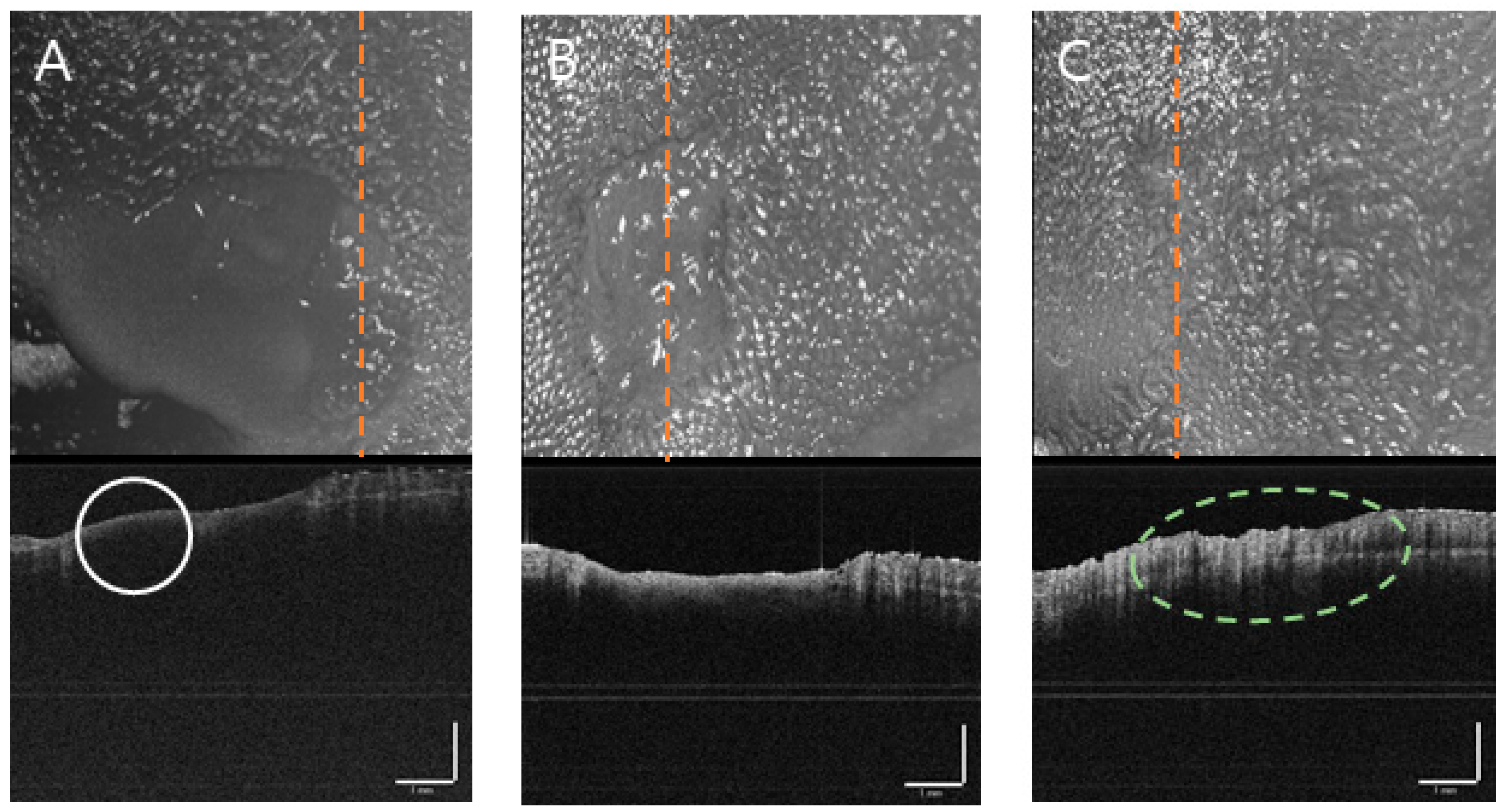 Applsci 14 08854 g011