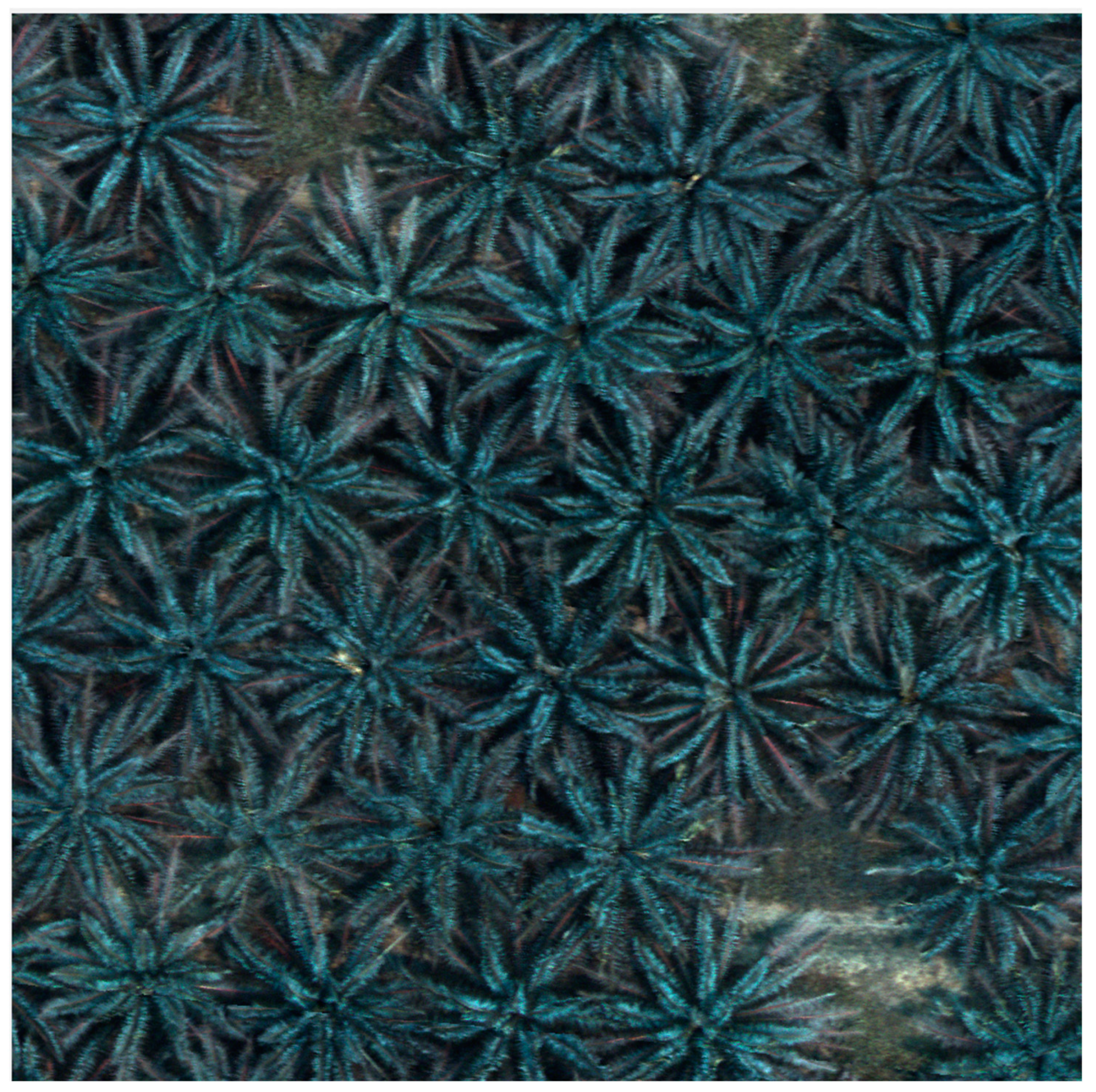 Applsci 14 08895 g001