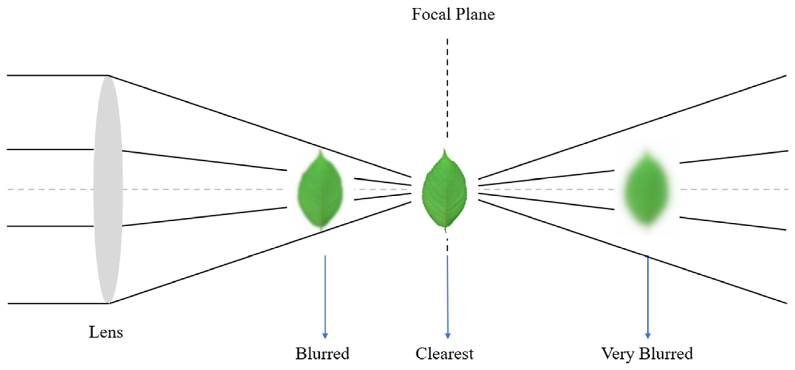 Applsci 14 08913 g004