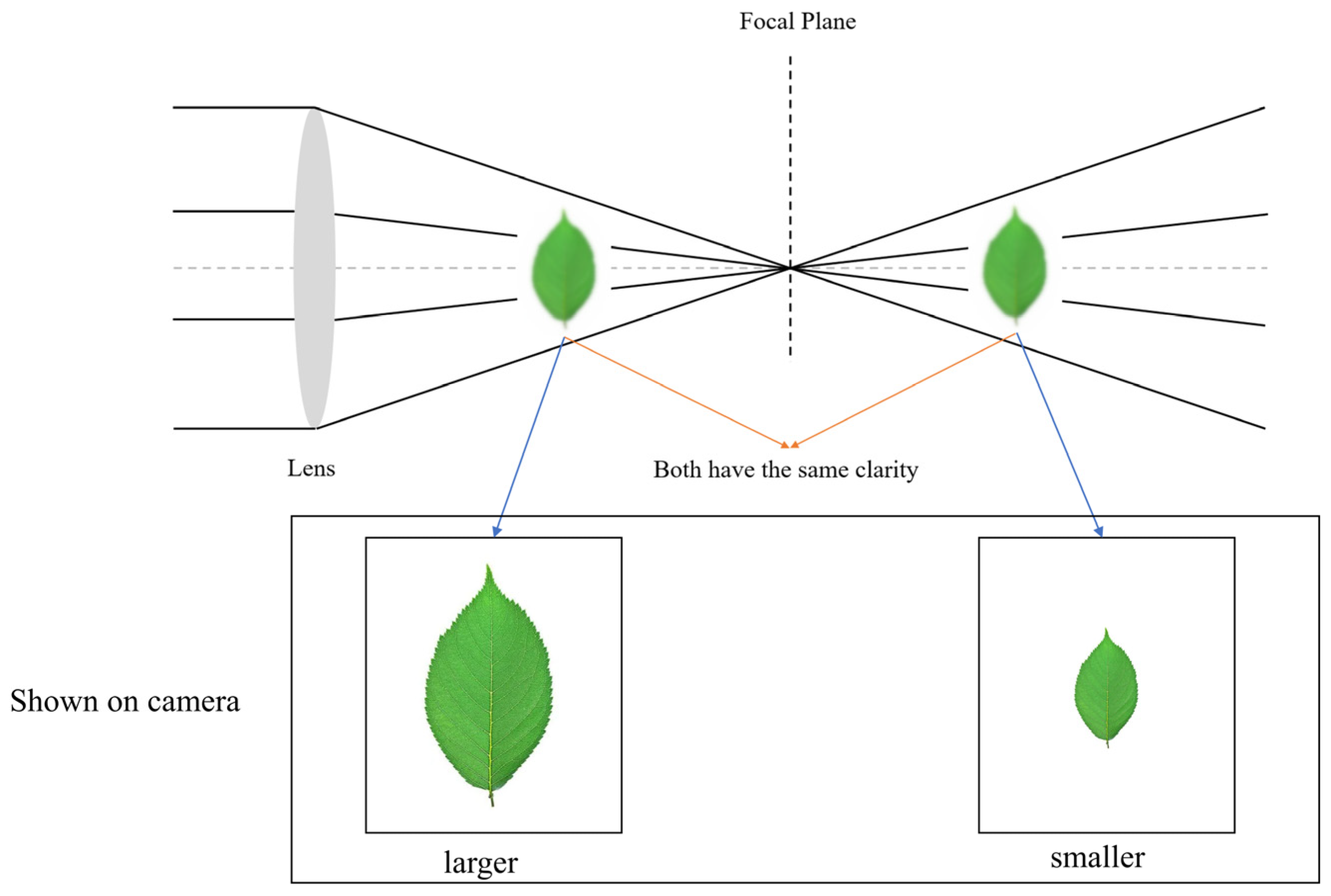 Applsci 14 08913 g005