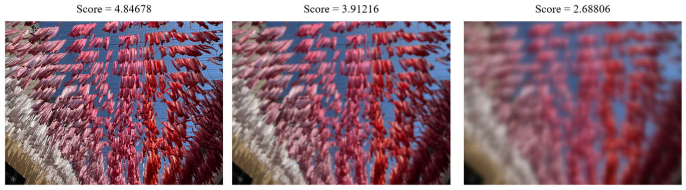 Applsci 14 08913 g009