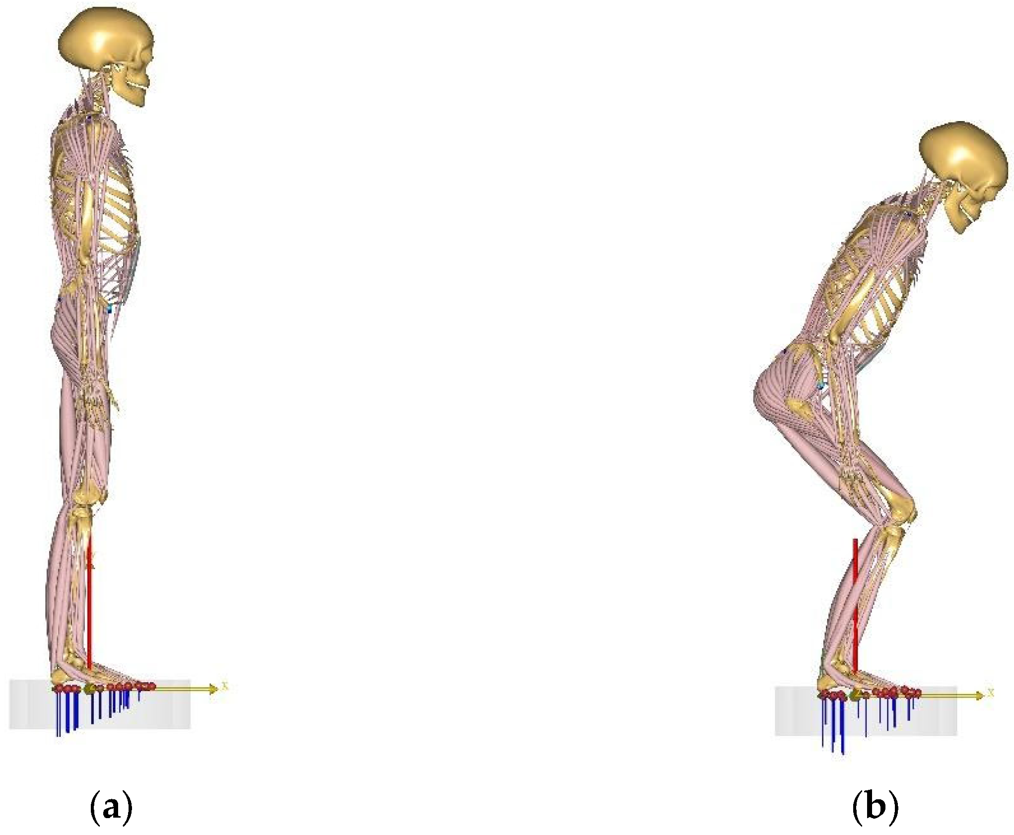 Applsci 14 08928 g001