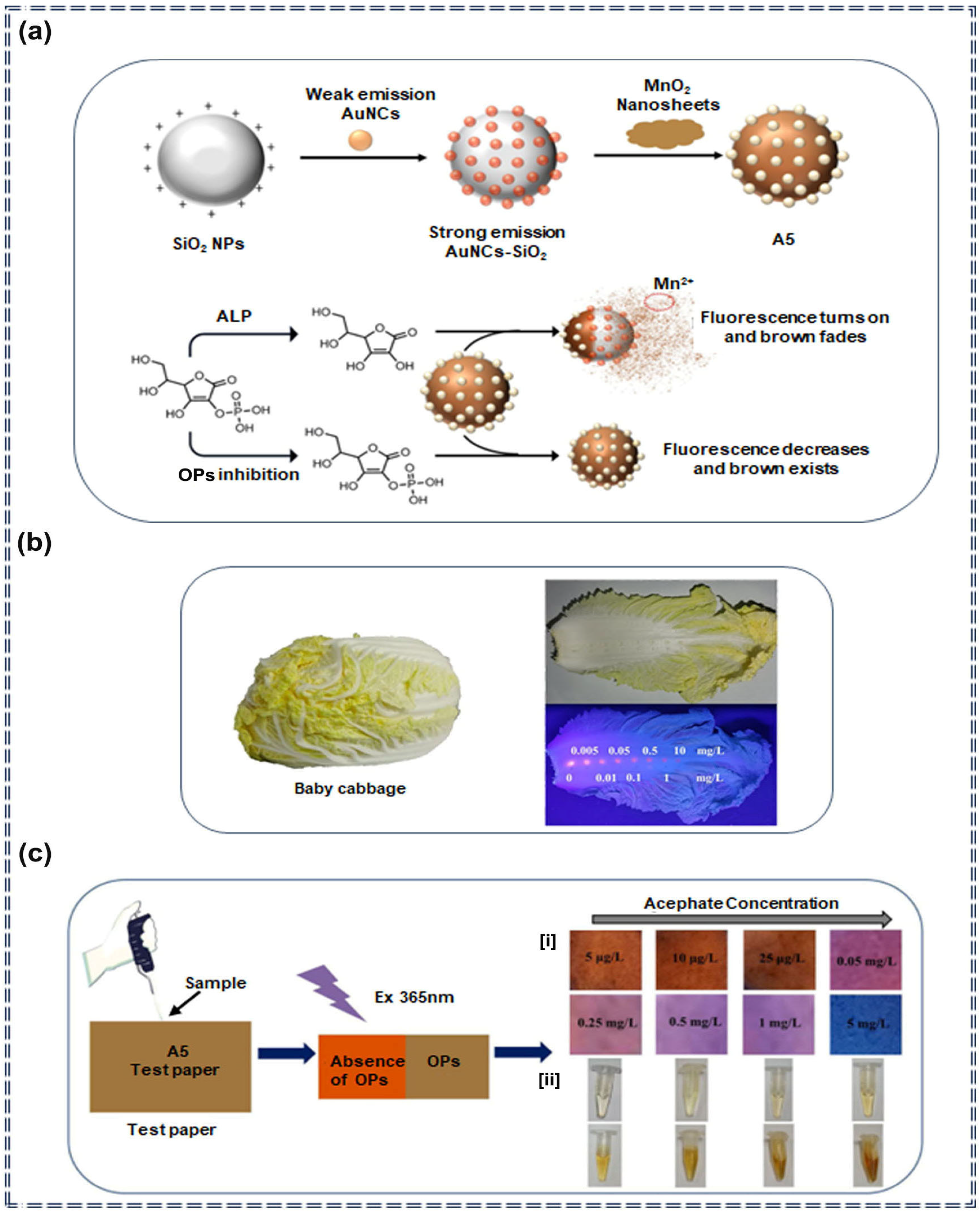Applsci 14 08947 g005