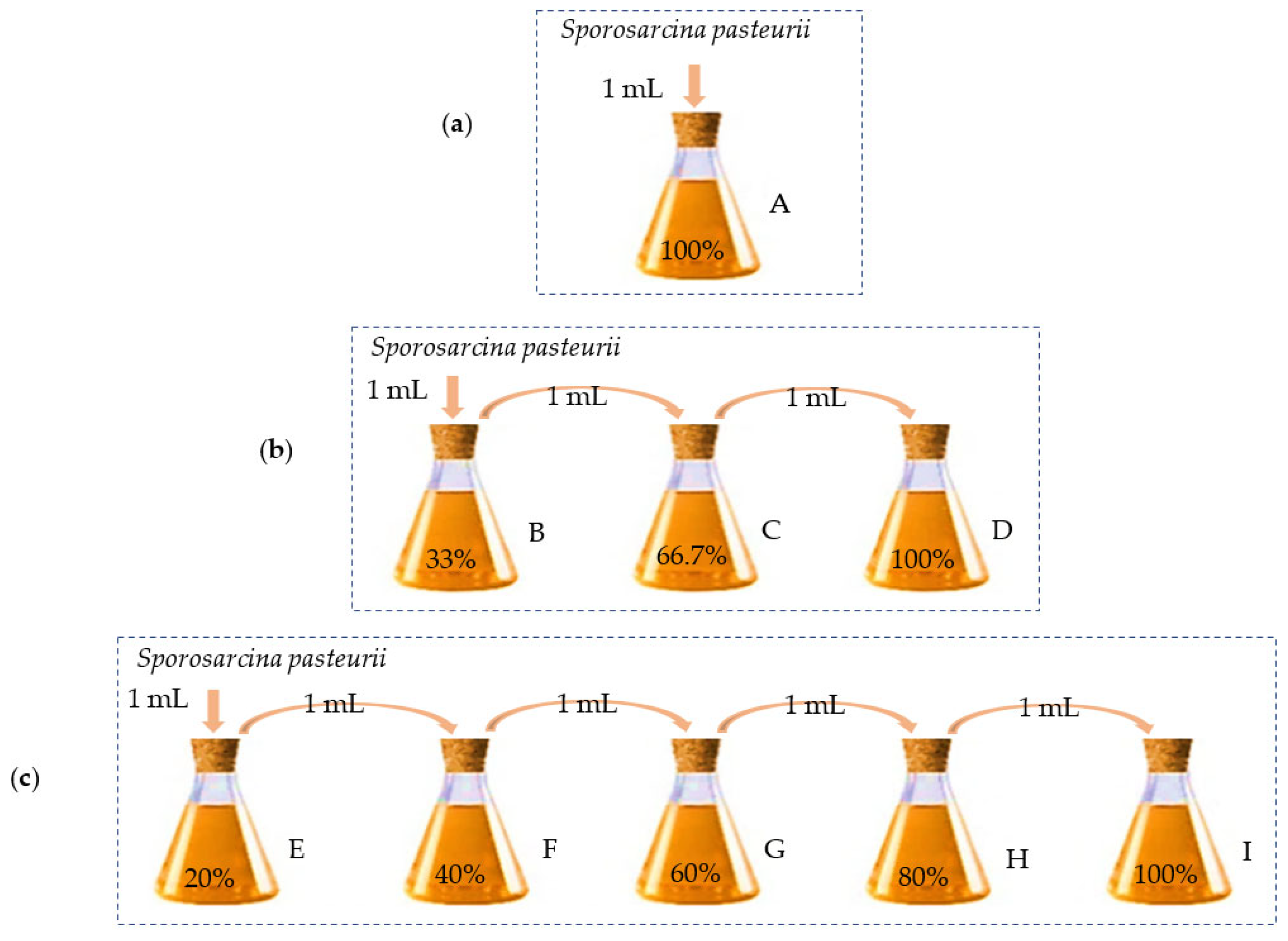 Applsci 14 08952 g003