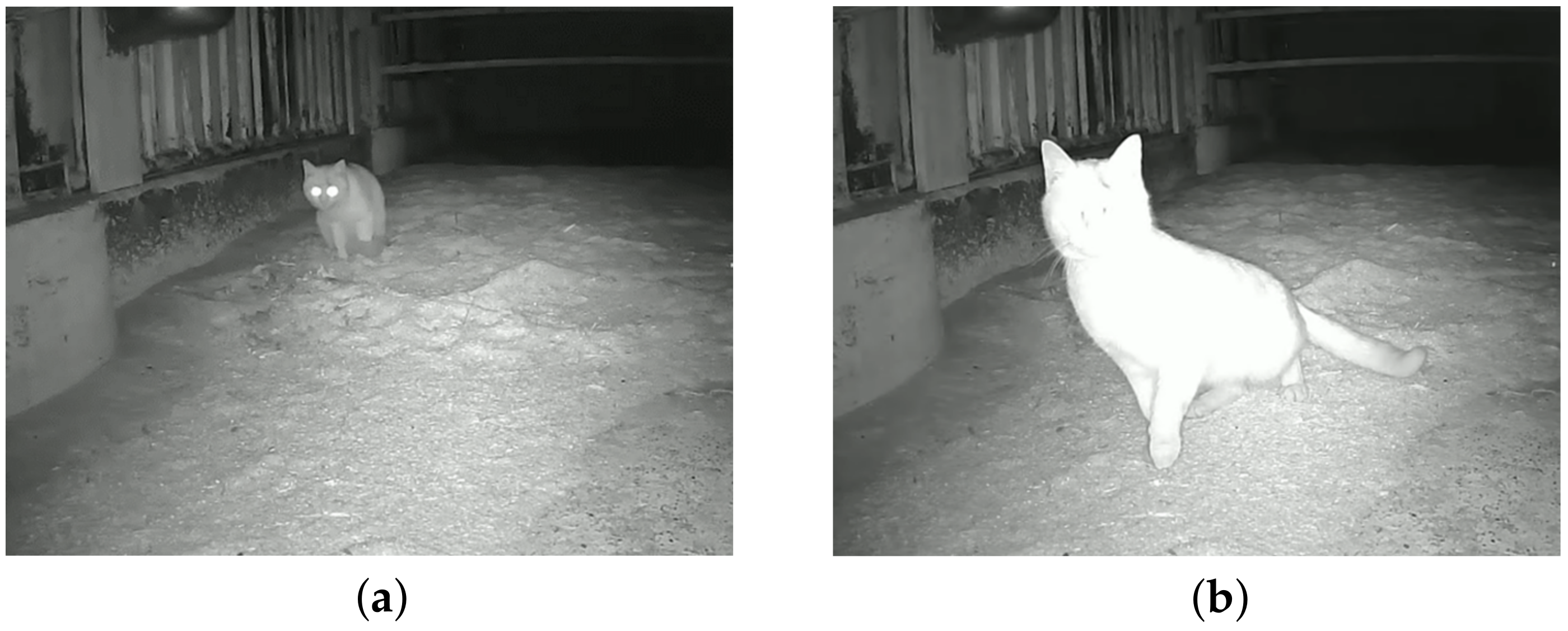 Applsci 14 08955 g019a