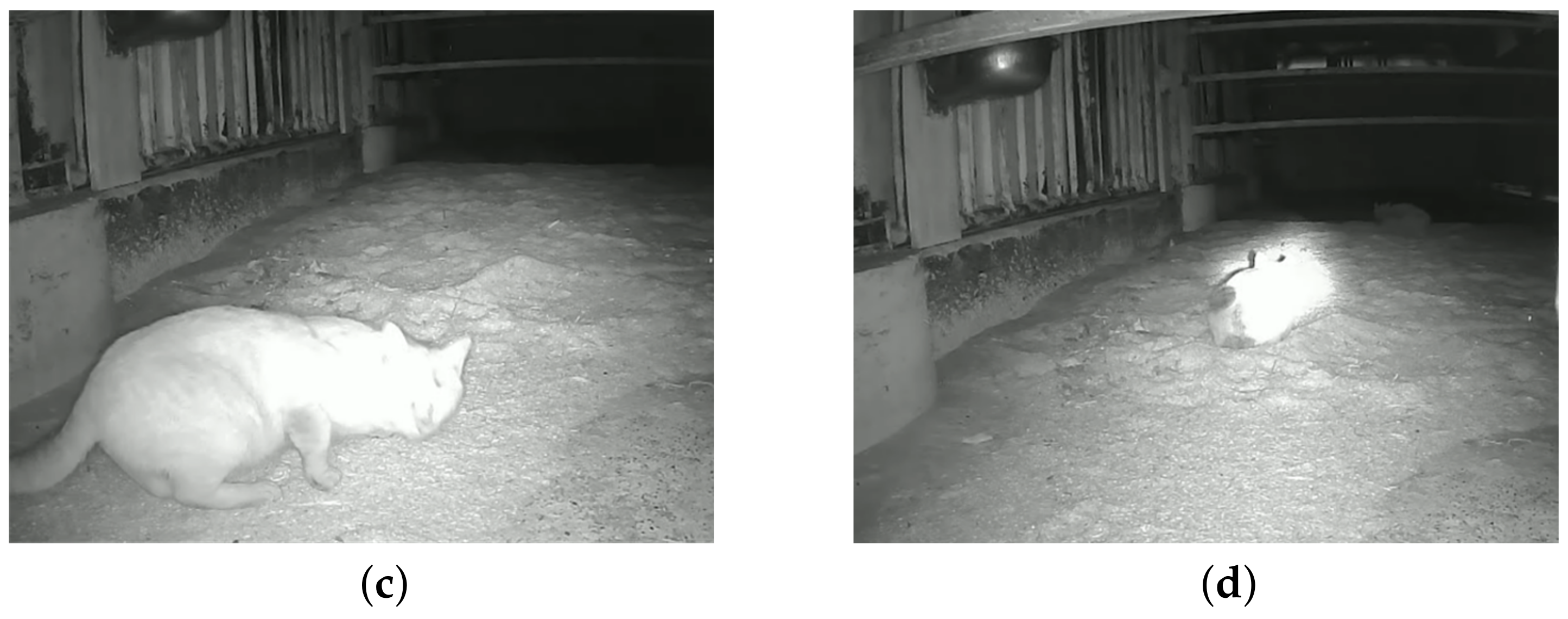 Applsci 14 08955 g019b