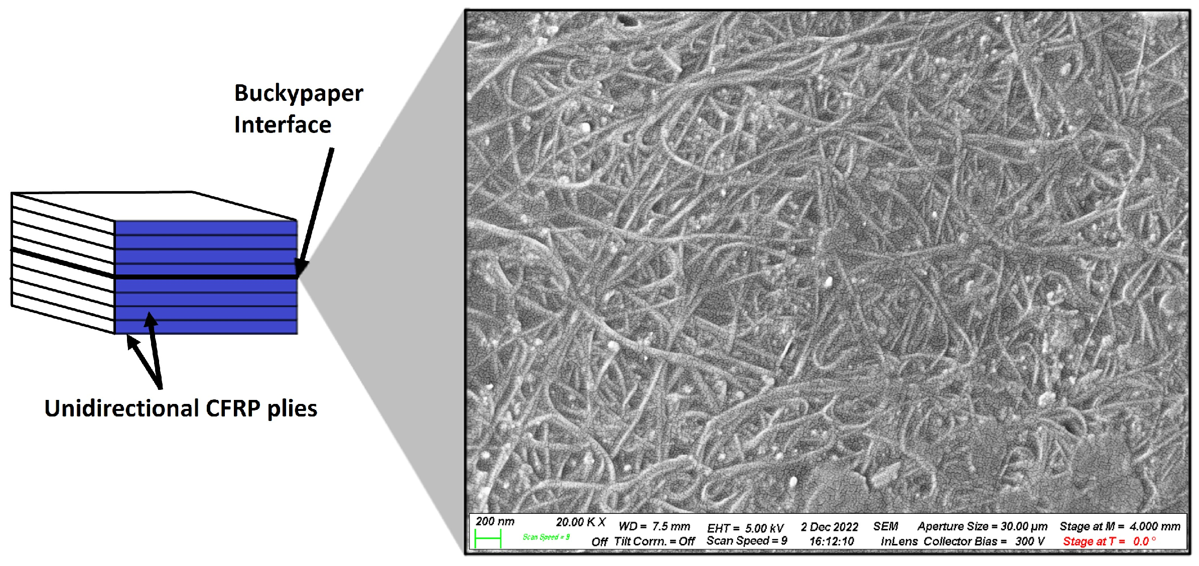 Applsci 14 08960 g001