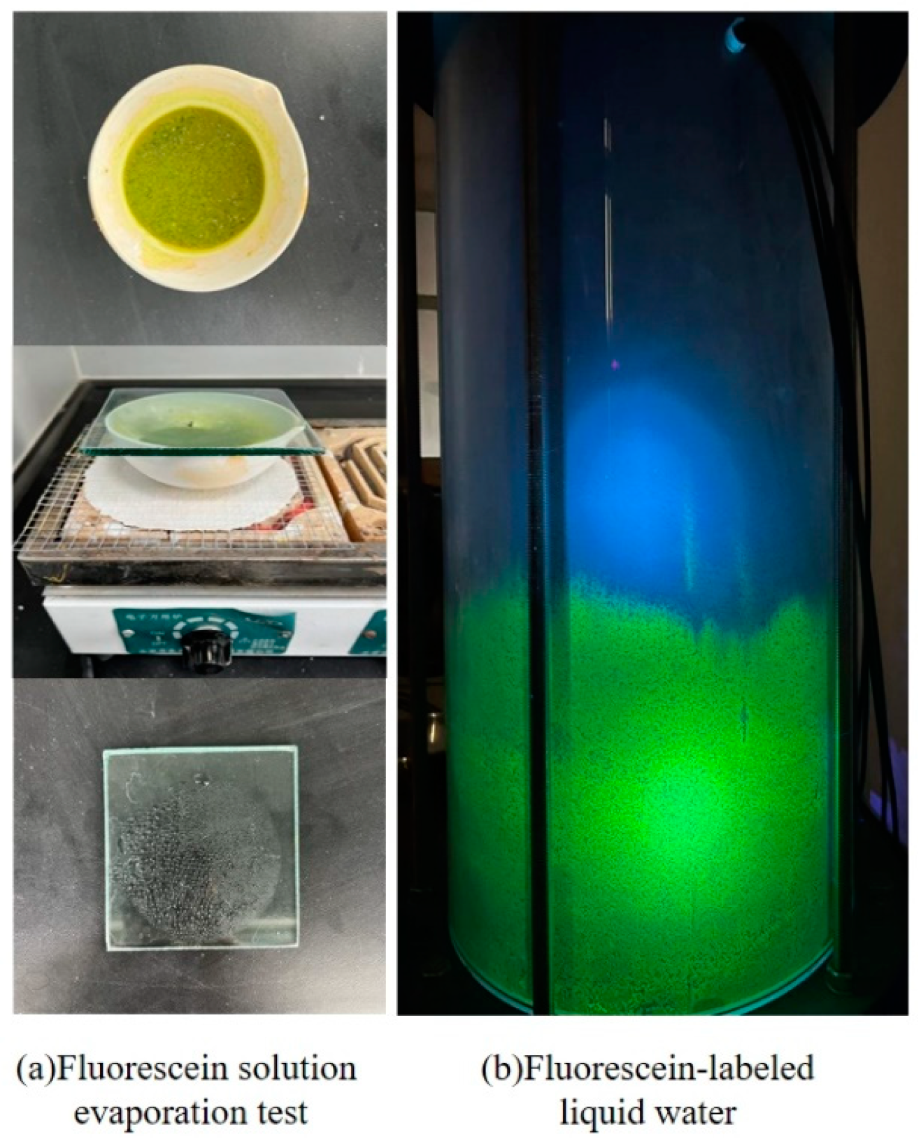 Applsci 14 08970 g004