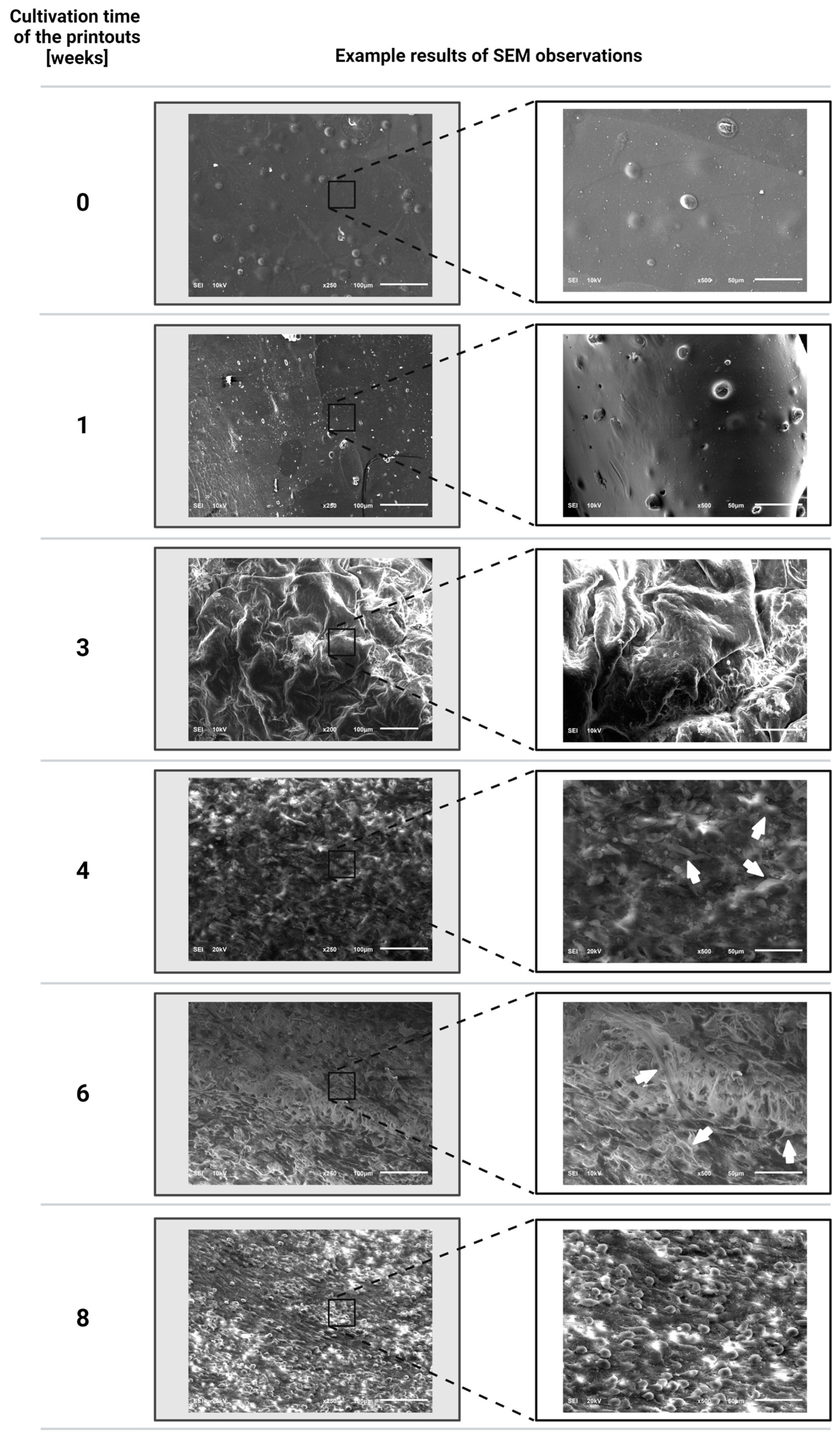 Applsci 14 08977 g007