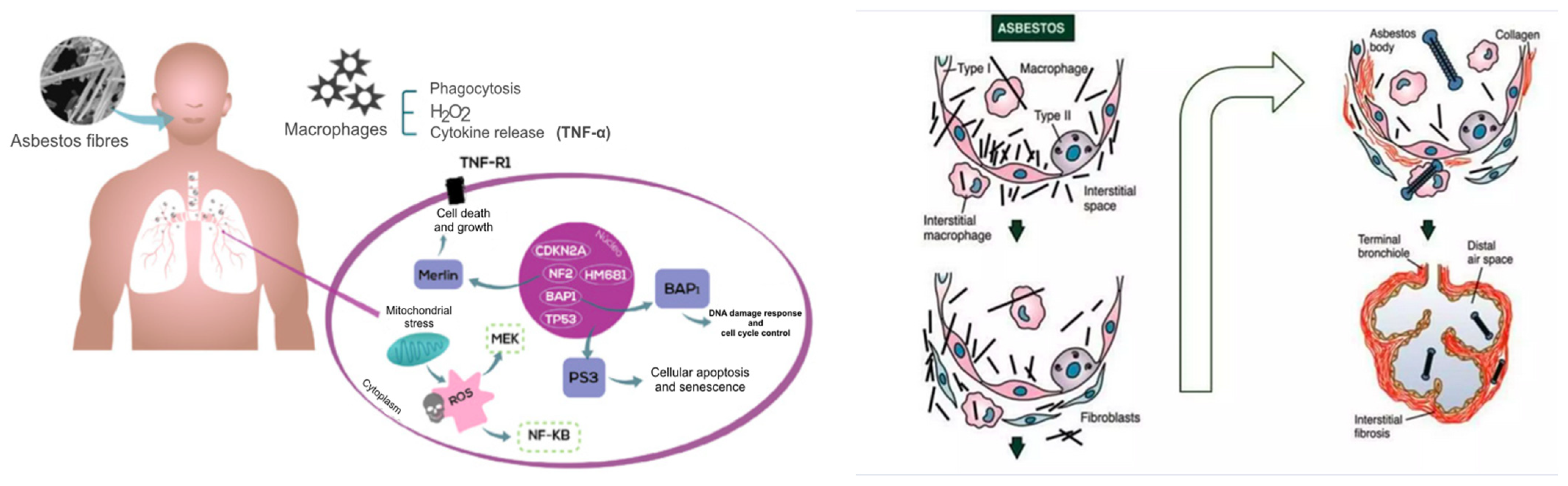 Applsci 14 08980 g002
