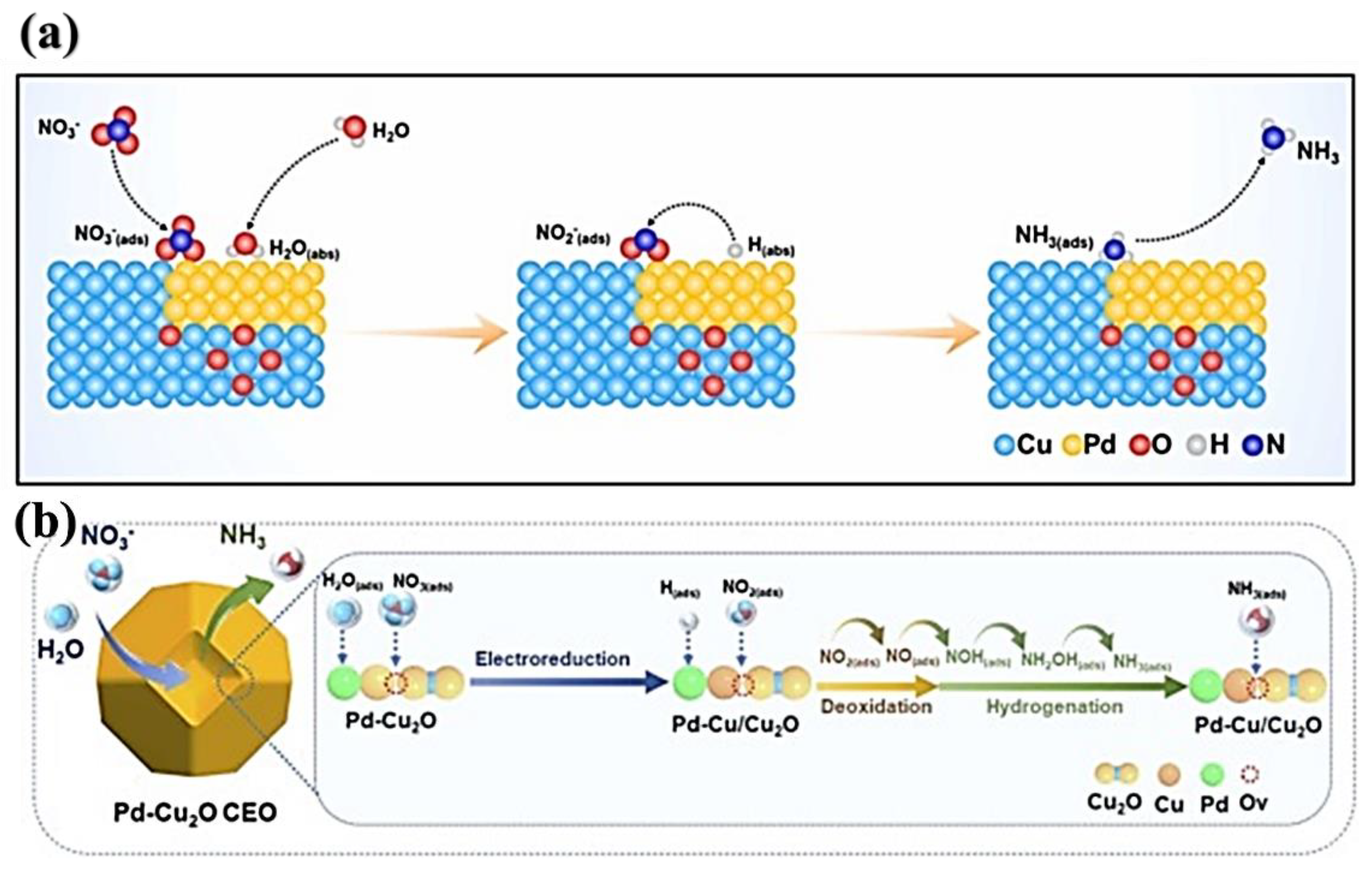 Applsci 14 08986 g013 Applsci 14 08986 g013
