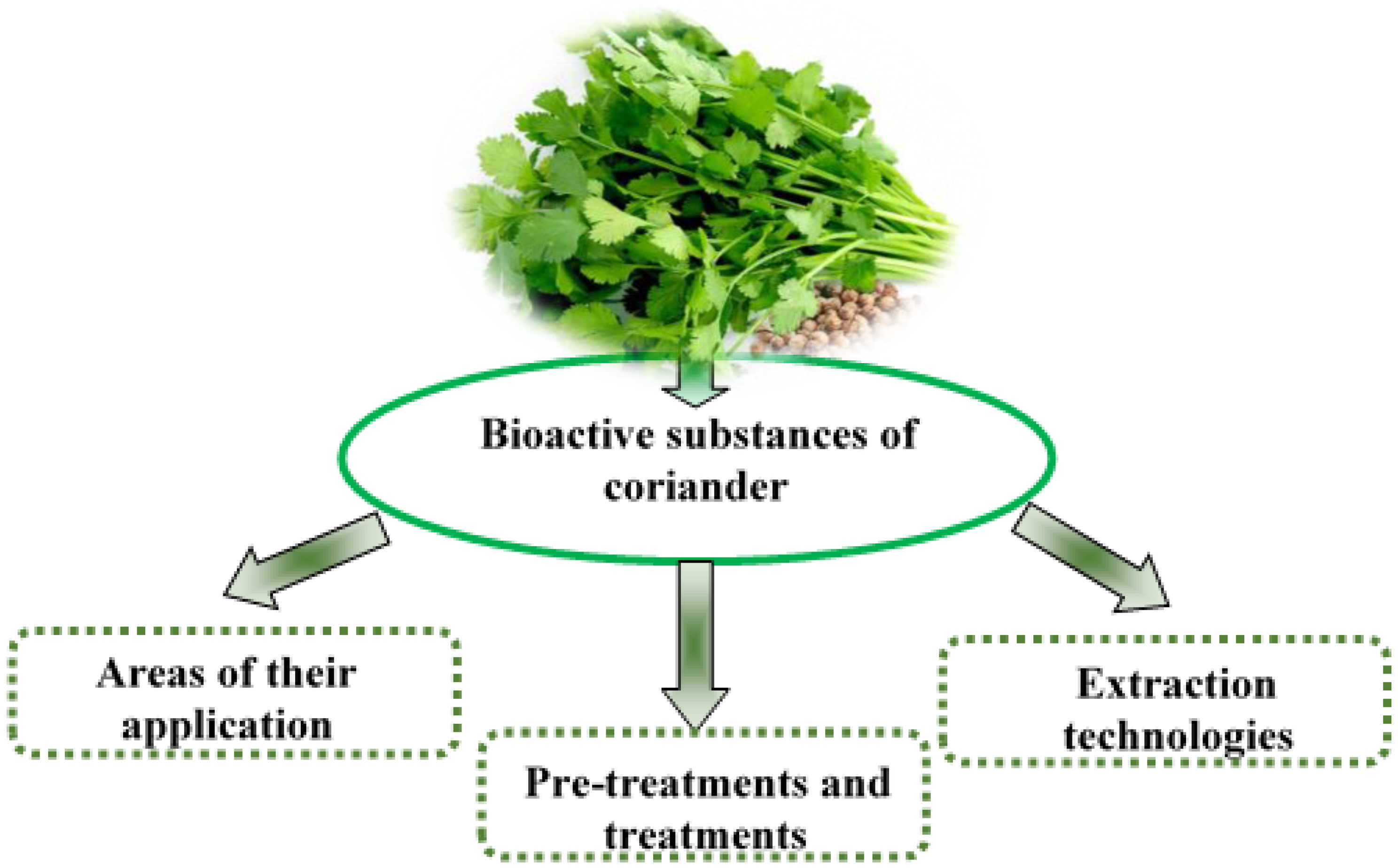 Applsci 14 08989 g001 Applsci 14 08989 g001