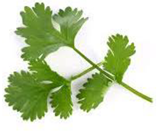 Applsci 14 08989 i001 Applsci 14 08989 i001