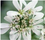 Applsci 14 08989 i003 Applsci 14 08989 i003