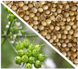 Applsci 14 08989 i004 Applsci 14 08989 i004