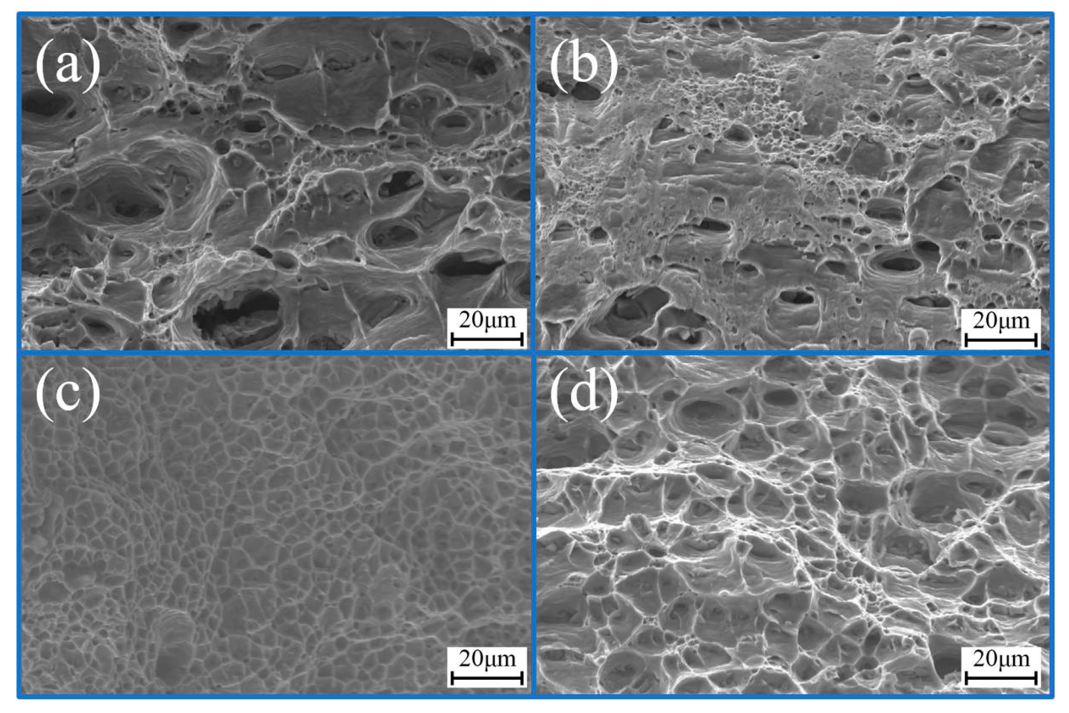 Applsci 14 08998 g012