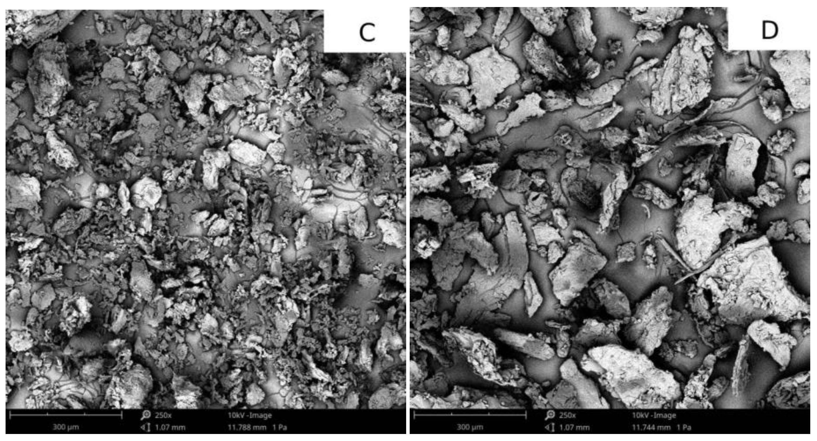 Applsci 14 09051 g009