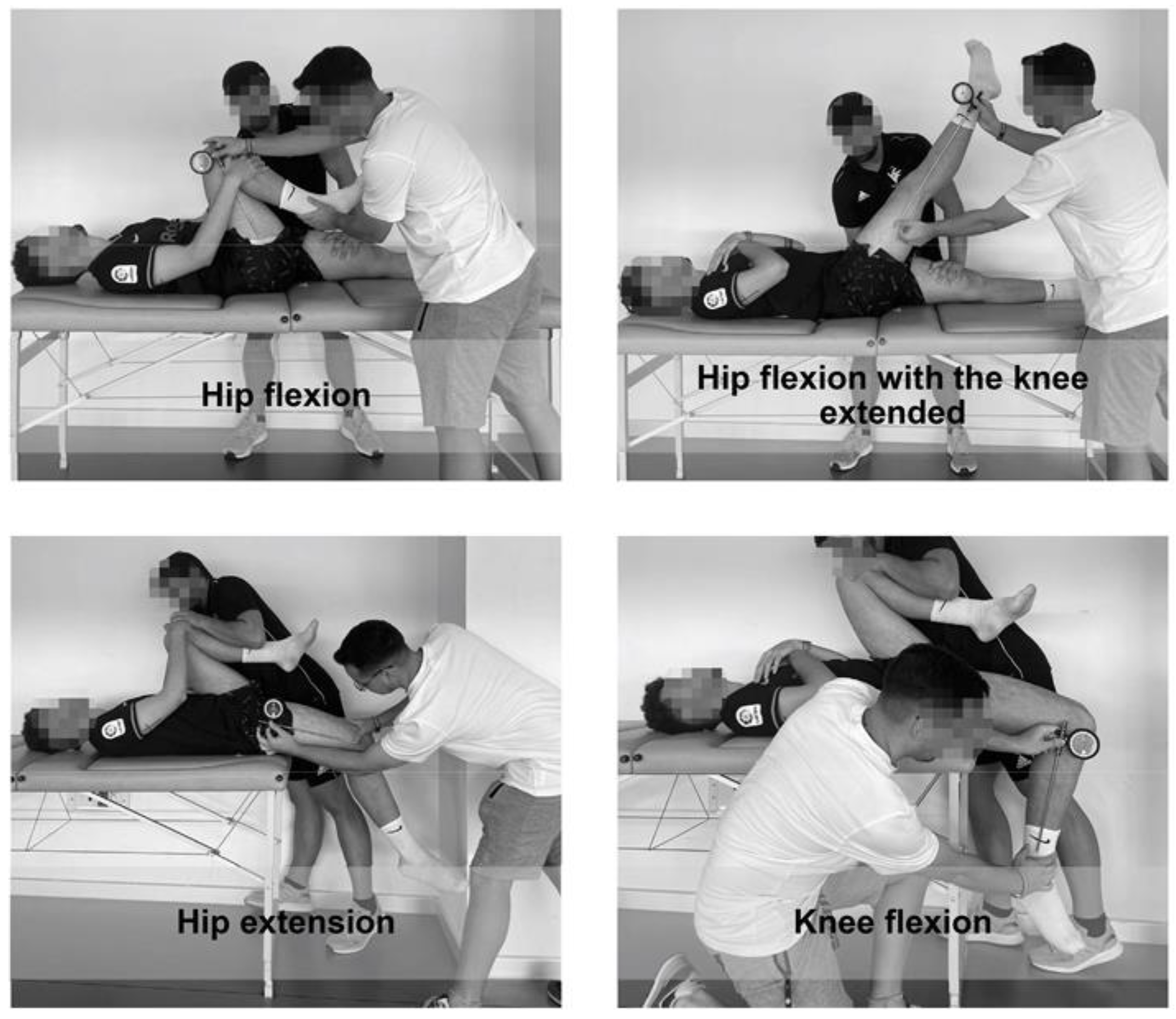 Applsci 14 09052 g001