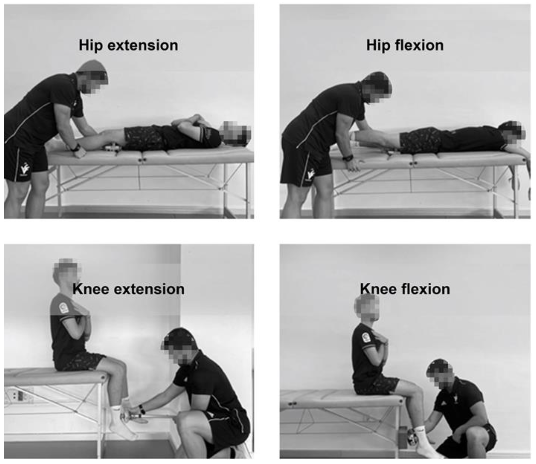 Applsci 14 09052 g002