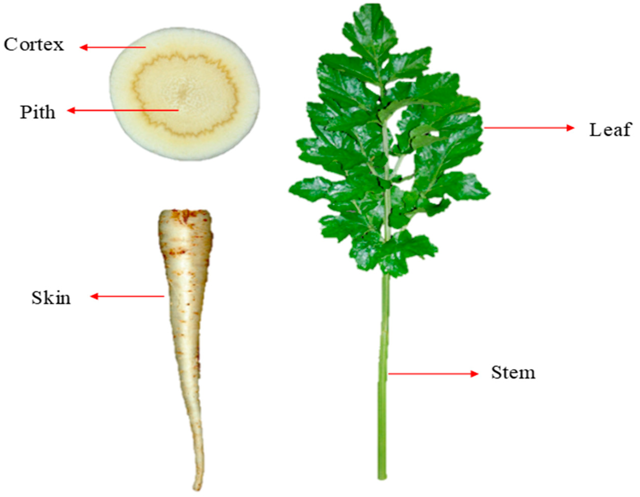 Applsci 14 09095 g001