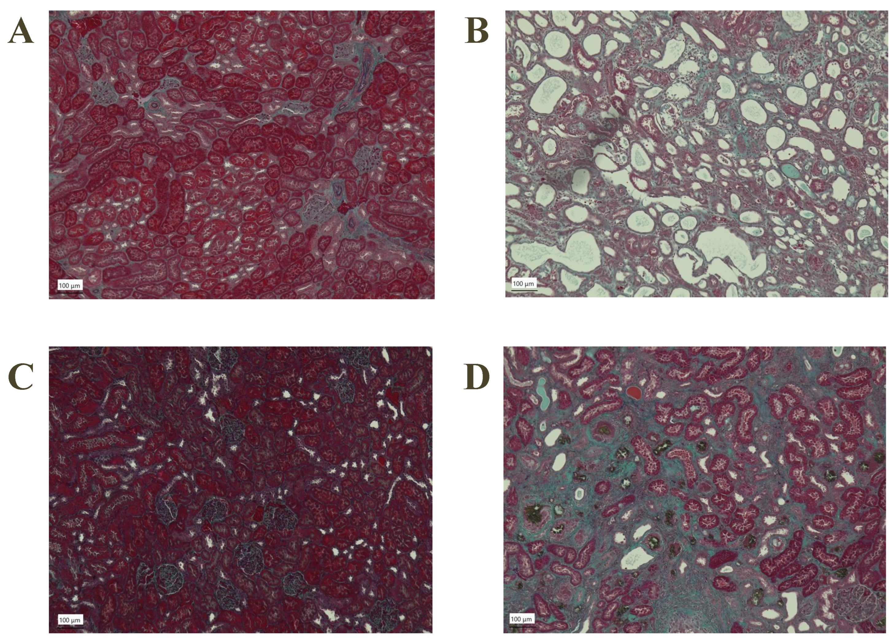 Applsci 14 09106 g003