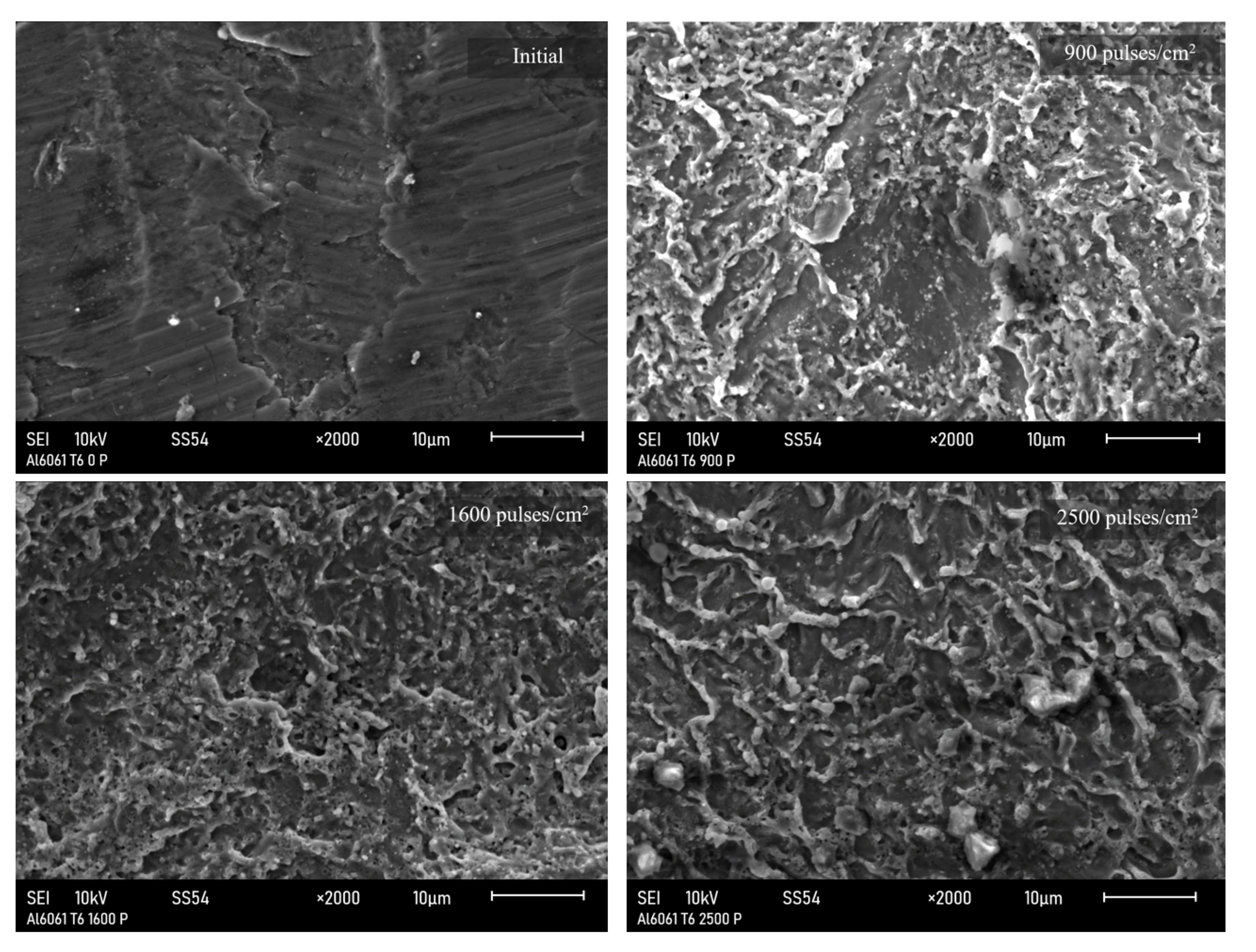 Applsci 14 09145 g003 Applsci 14 09145 g003