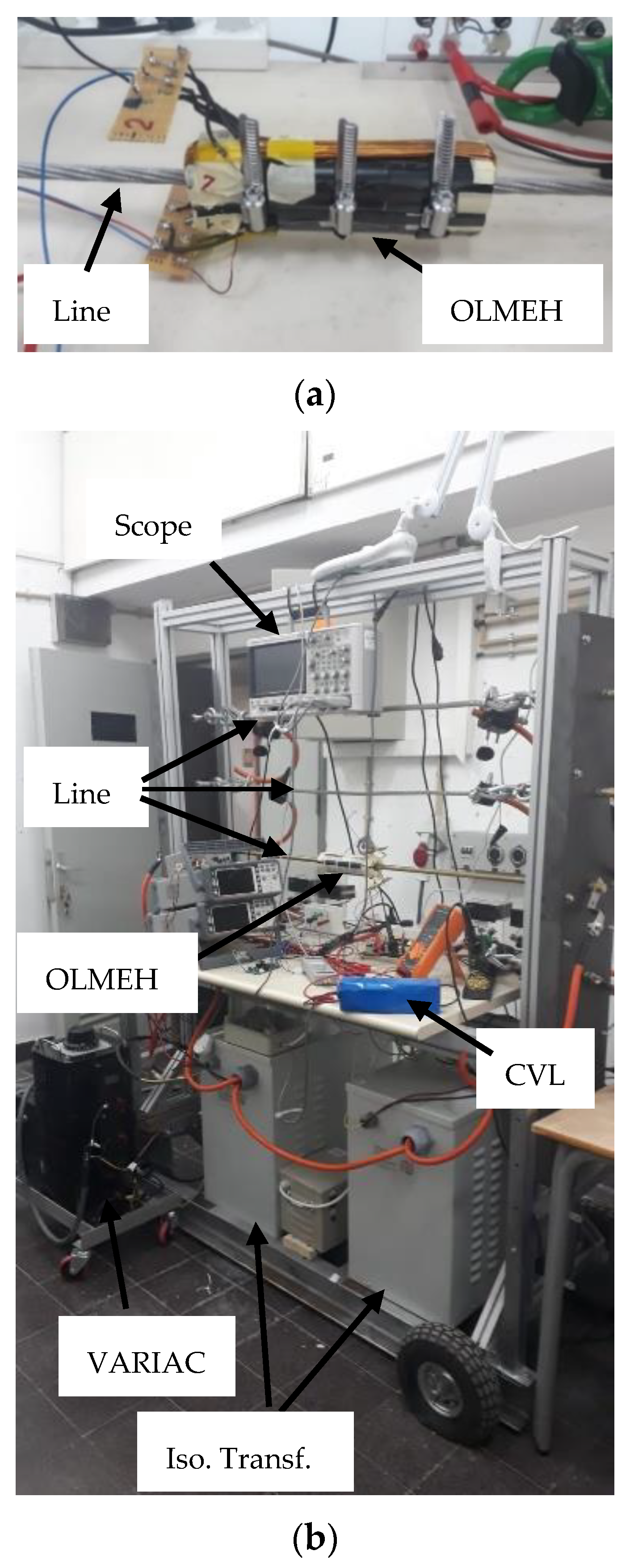 Applsci 14 09146 g008