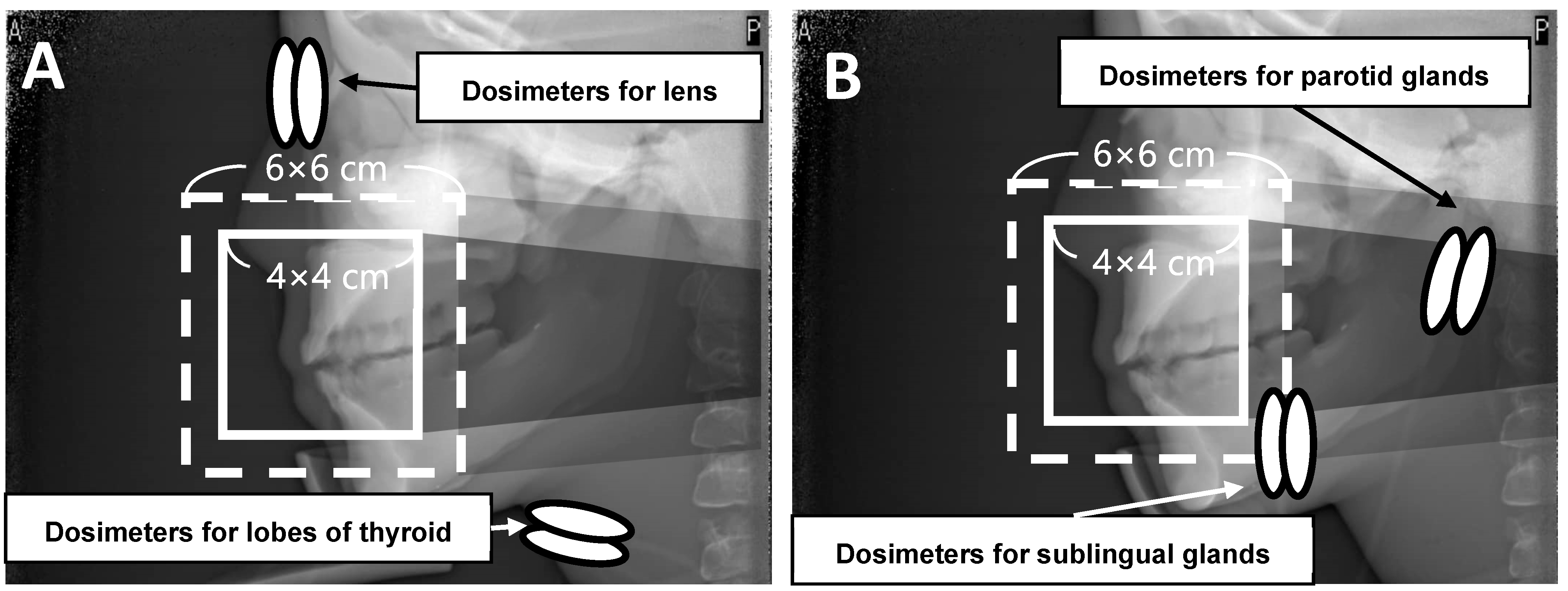 Applsci 14 09154 g005 Applsci 14 09154 g005