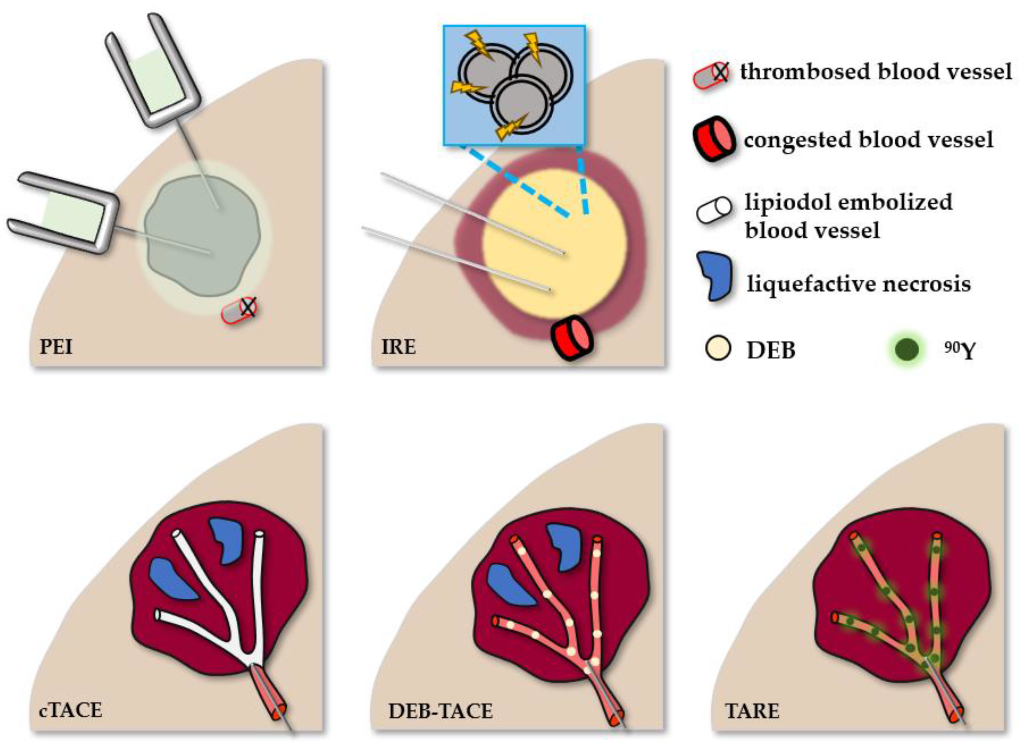 Applsci 14 09159 g005