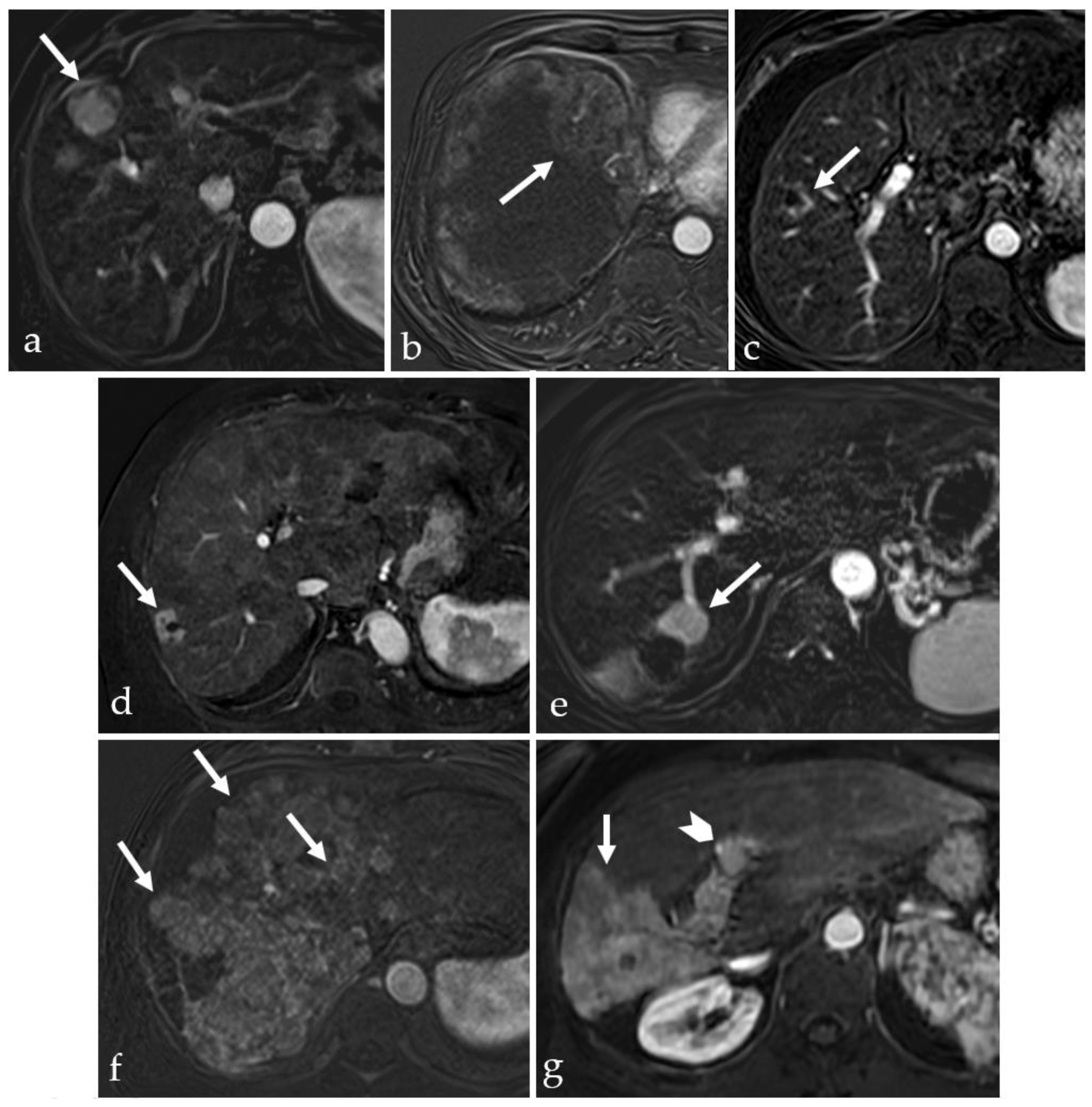 Applsci 14 09159 g010