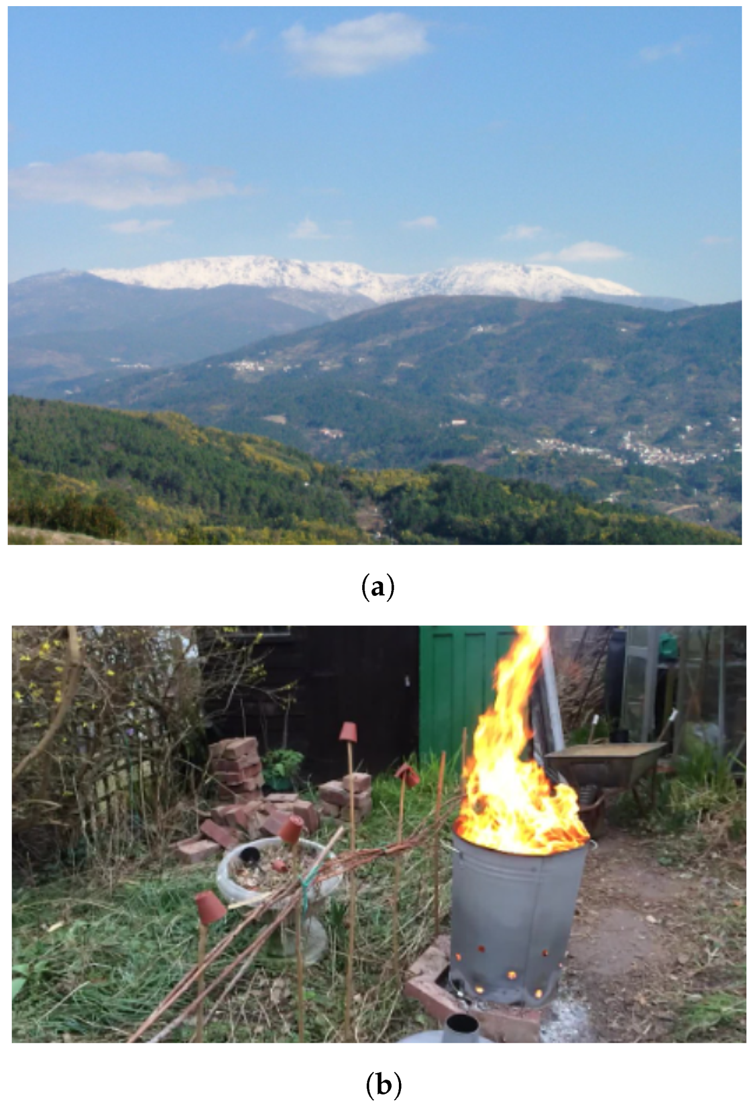 Applsci 14 09162 g009a