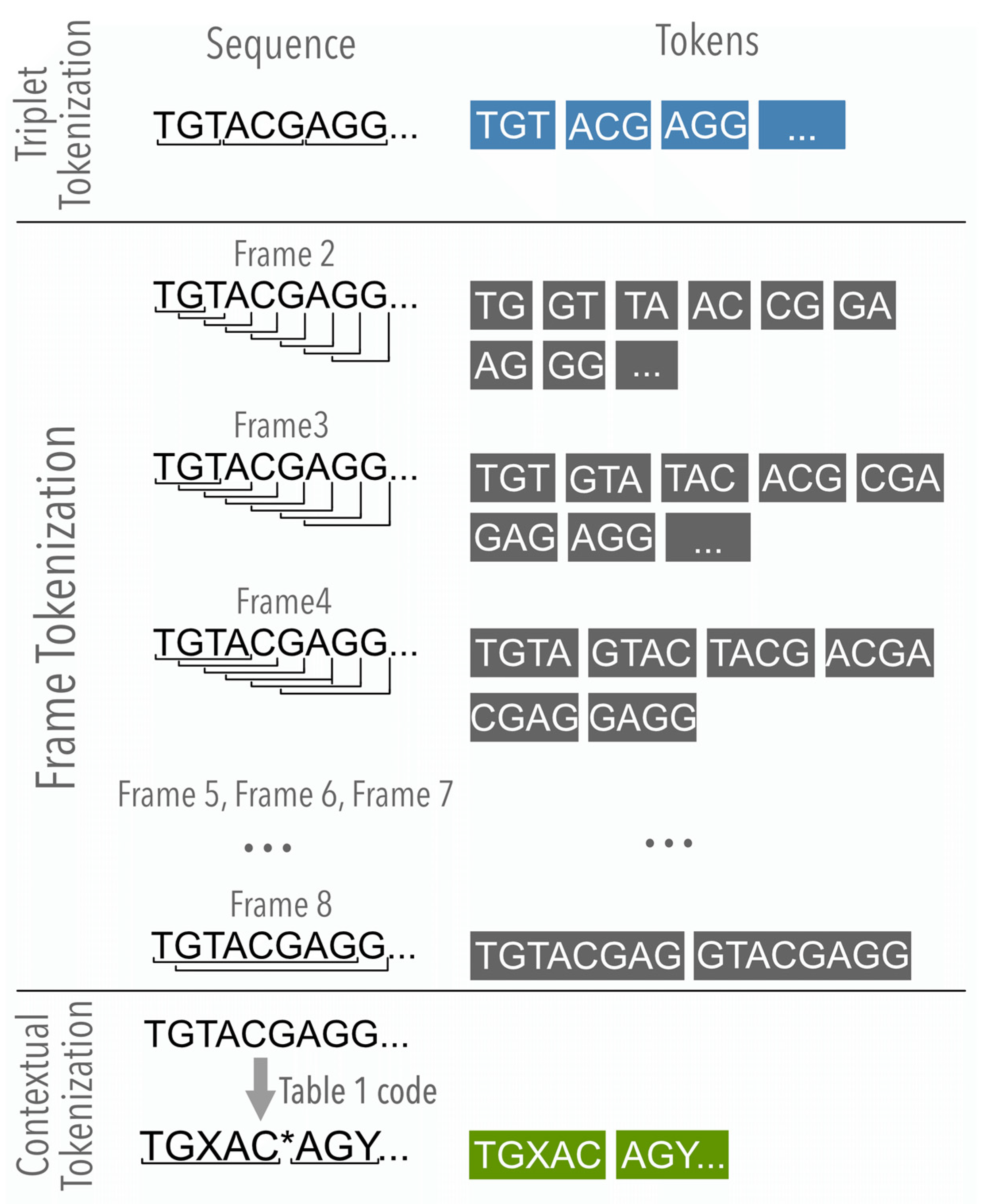 Applsci 14 09176 g002 Applsci 14 09176 g002