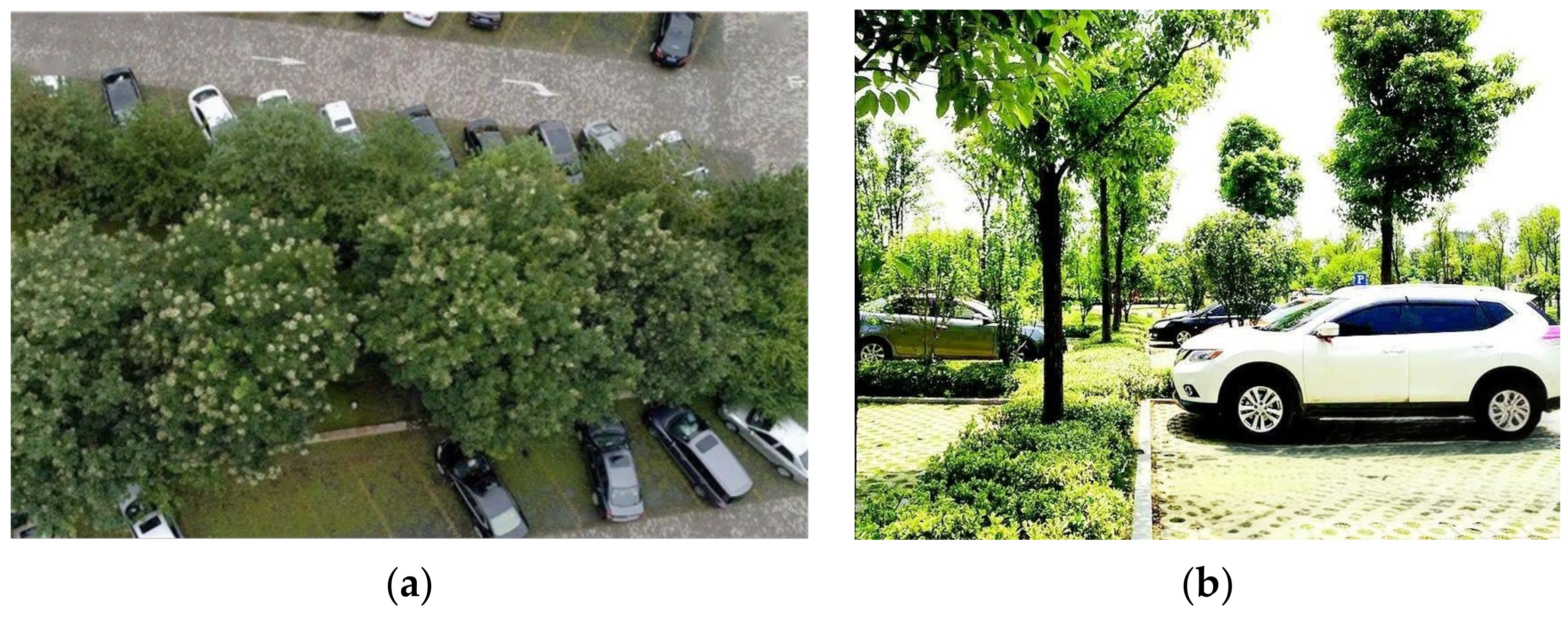 Applsci 14 09181 g003