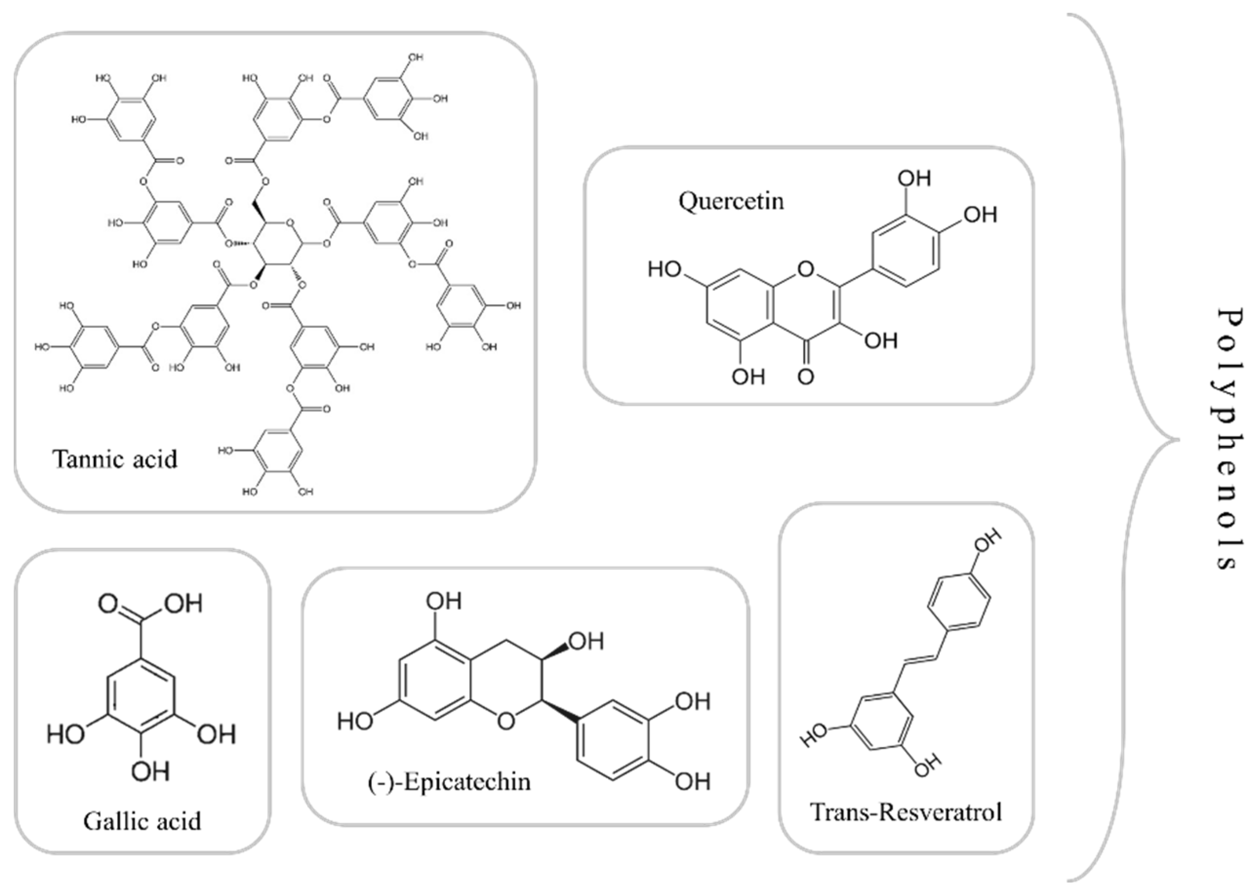 Applsci 14 09203 g002