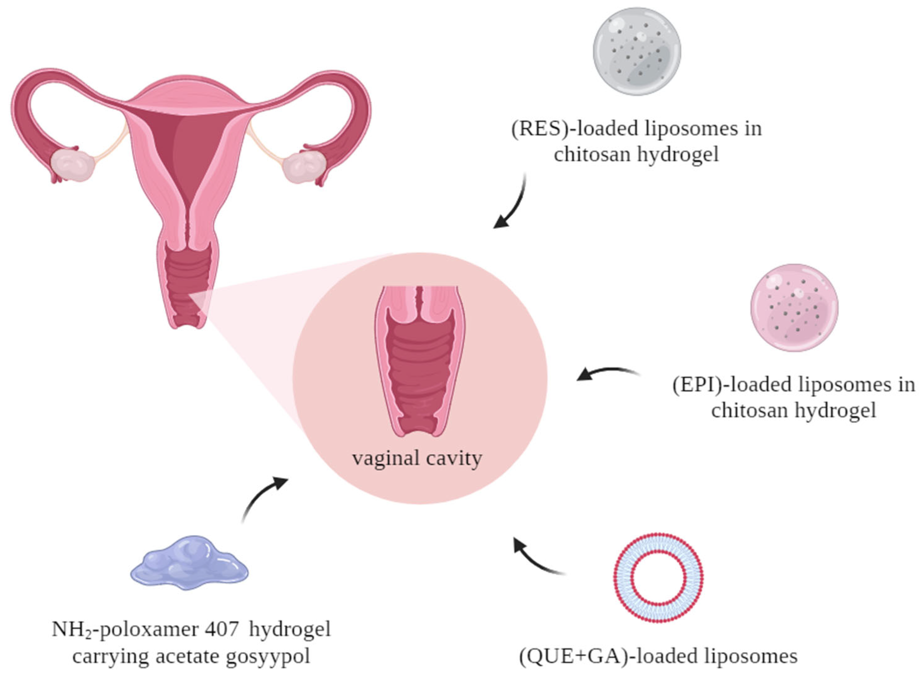 Applsci 14 09203 g003