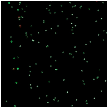 Applsci 14 09207 i003