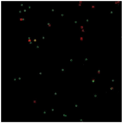 Applsci 14 09207 i005