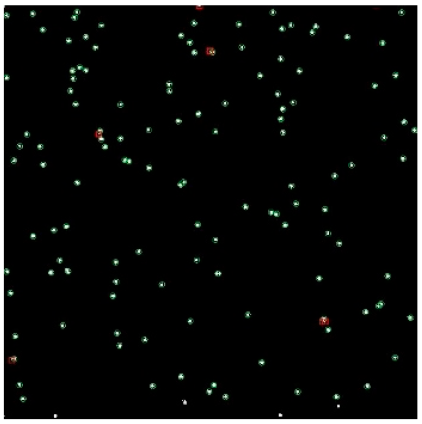 Applsci 14 09207 i007