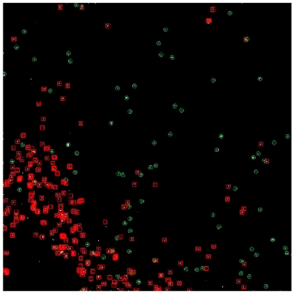 Applsci 14 09207 i019