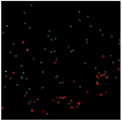 Applsci 14 09207 i021